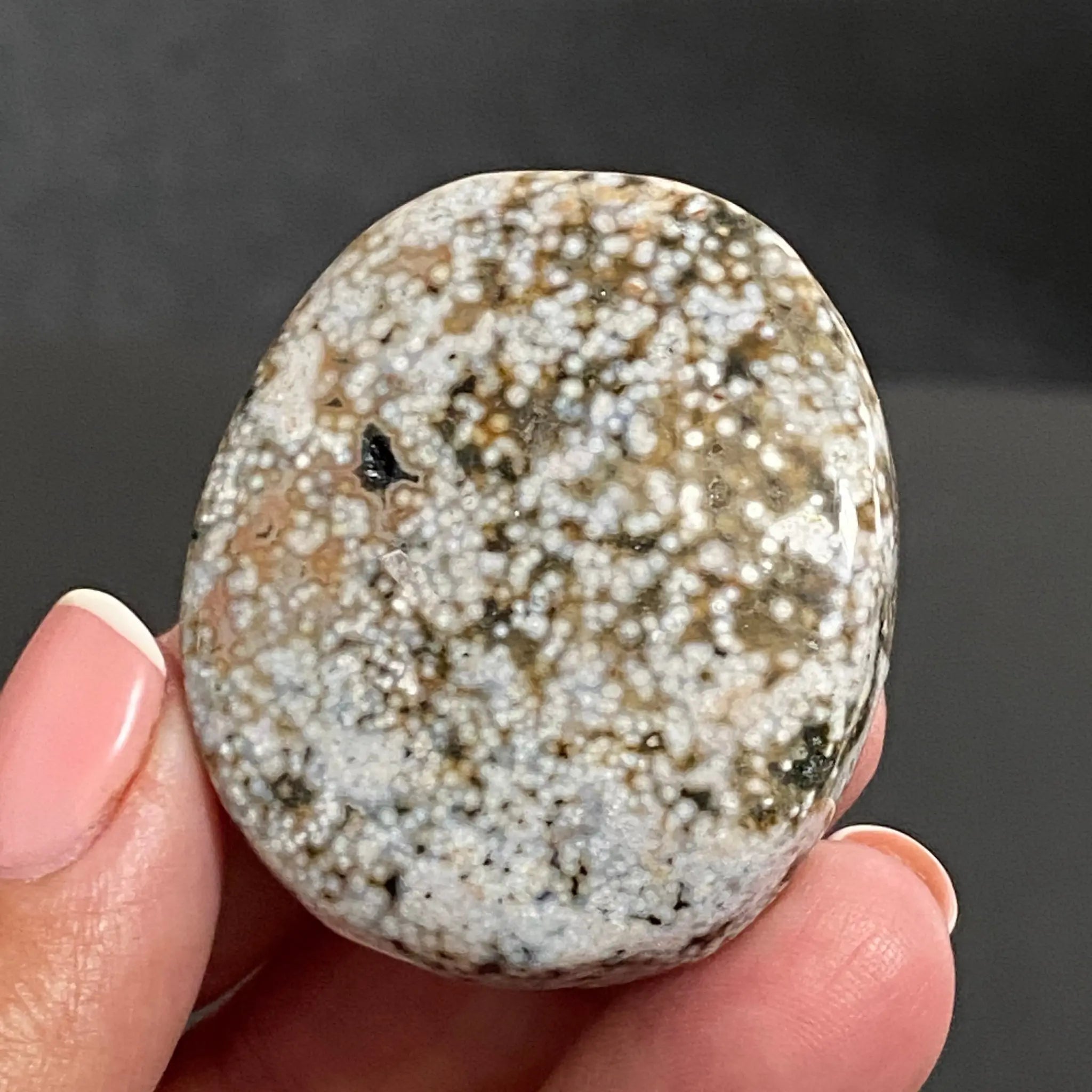 Ocean Jasper Palm Stone Castle Rocks Cornwall