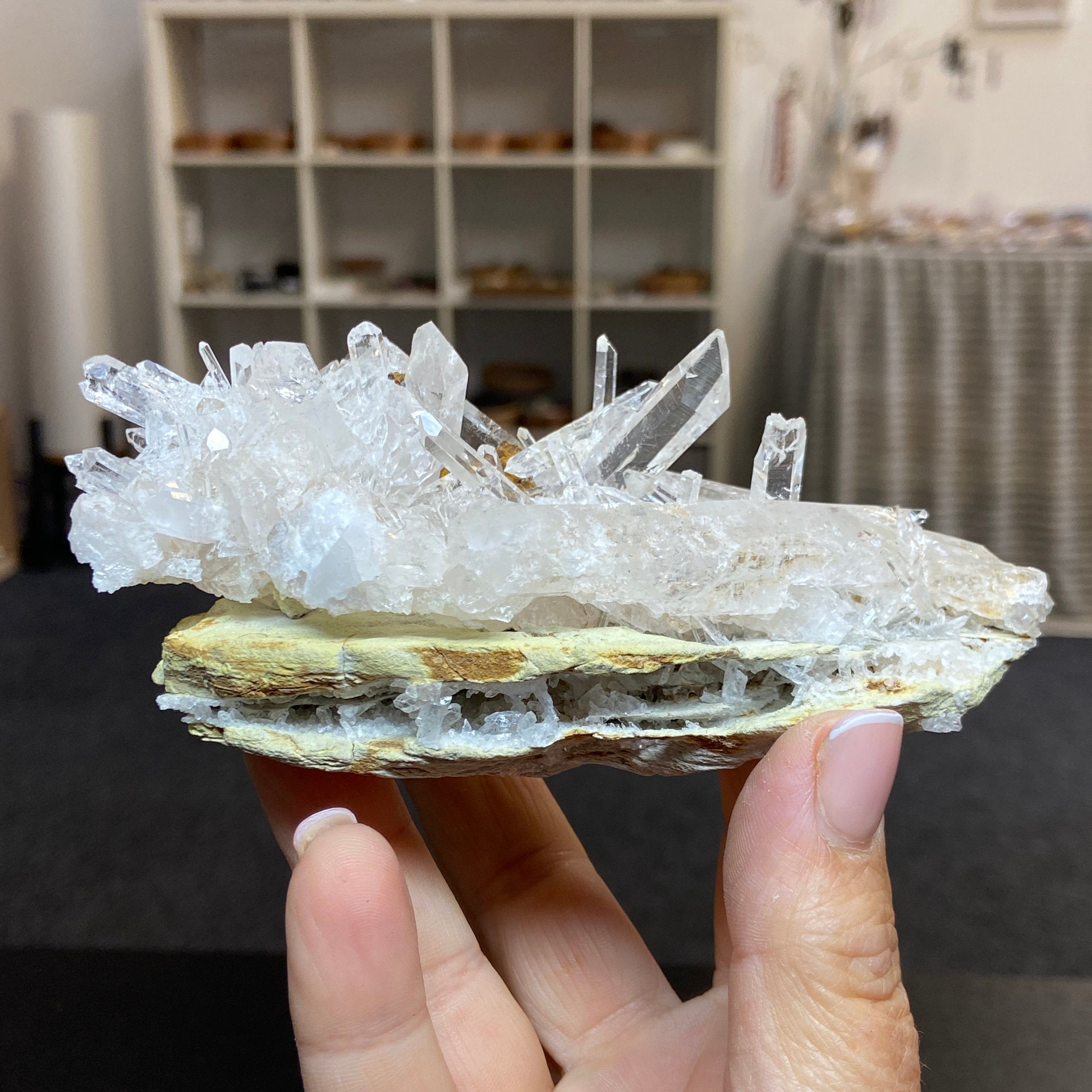 Alpha Terminated Lemurian Light Cluster