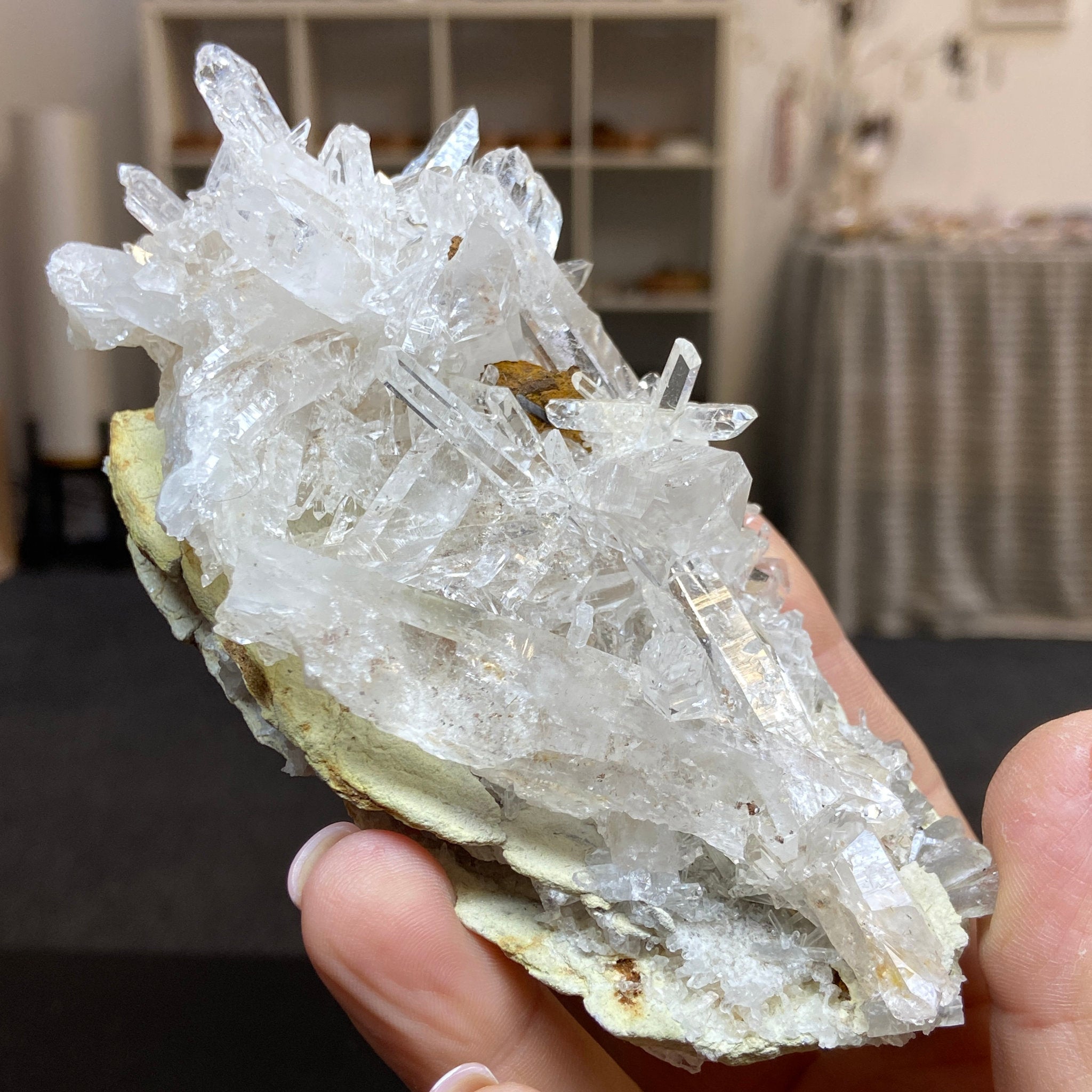 Alpha Terminated Lemurian Light Cluster