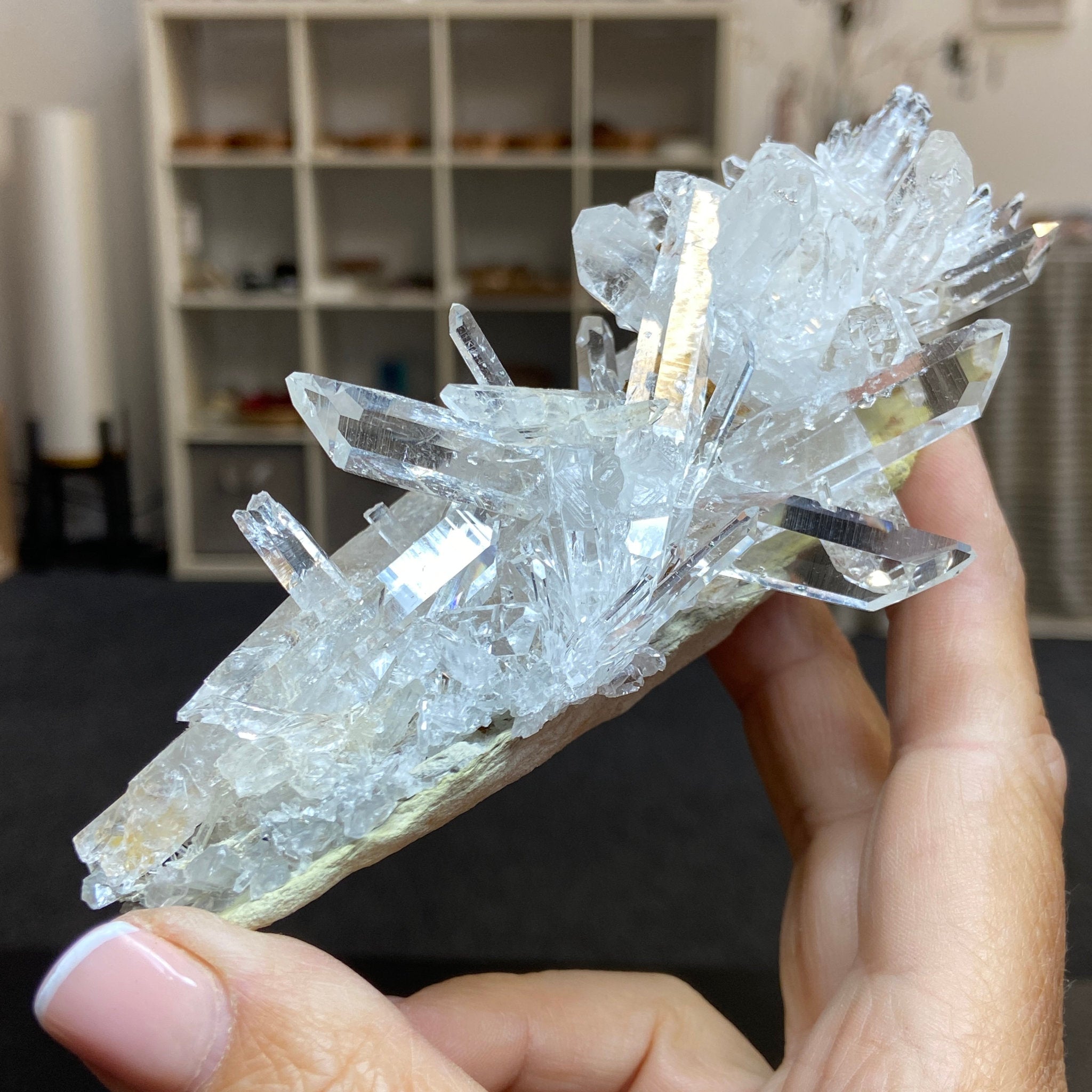 Alpha Terminated Lemurian Light Cluster