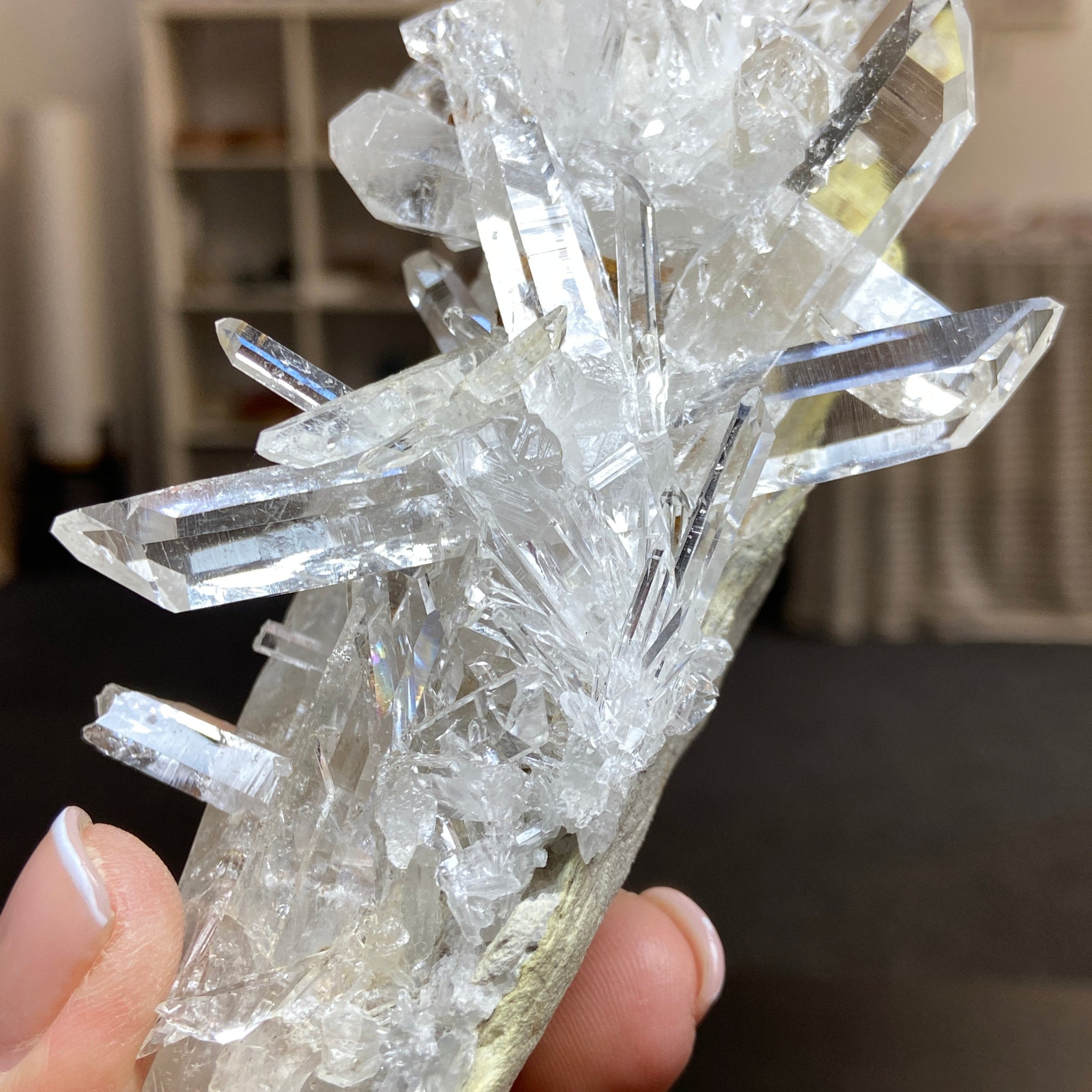 Alpha Terminated Lemurian Light Cluster