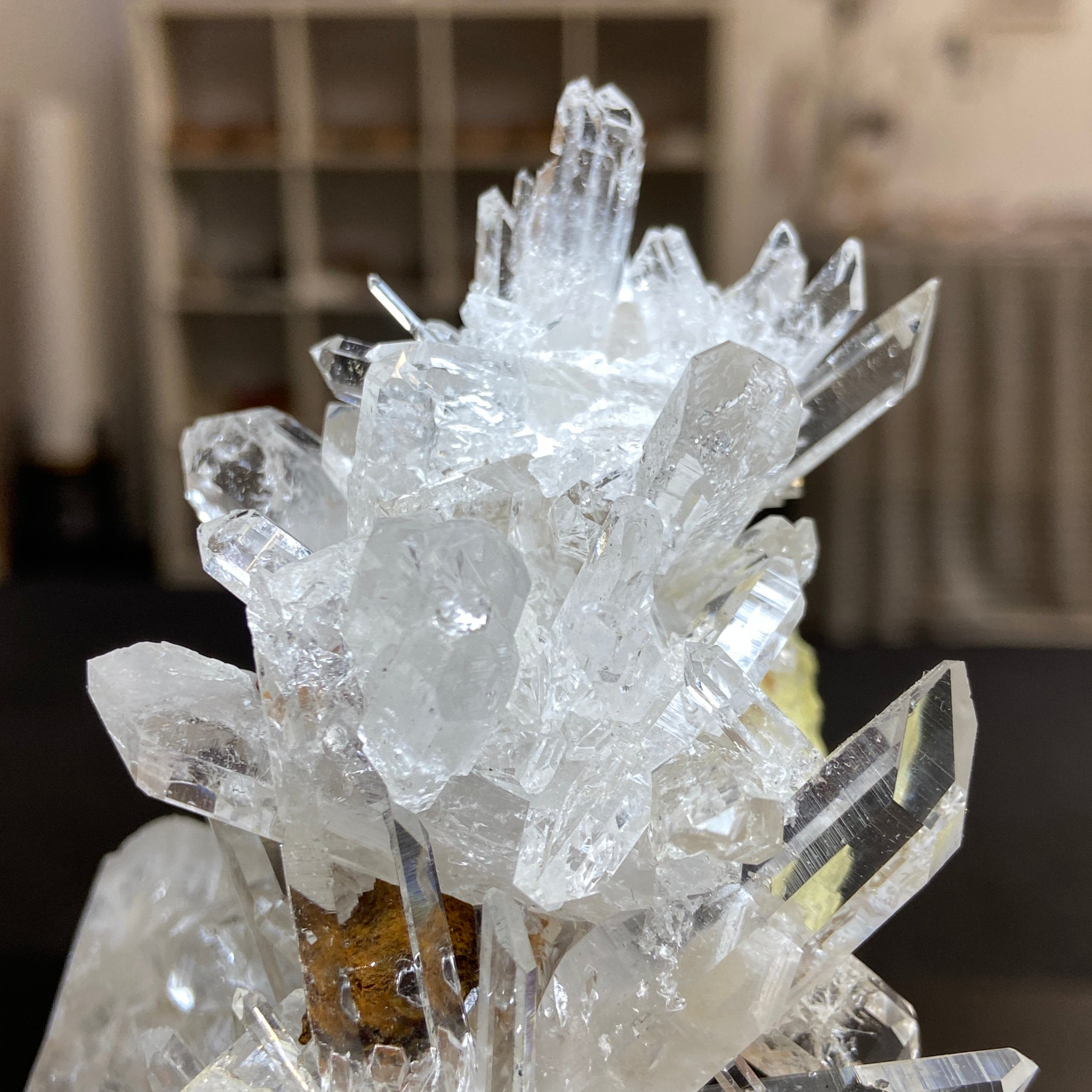Alpha Terminated Lemurian Light Cluster