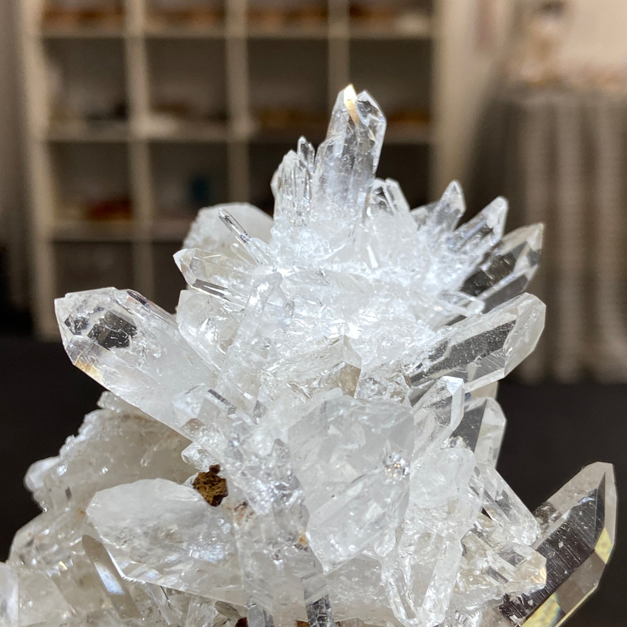 Alpha Terminated Lemurian Light Cluster