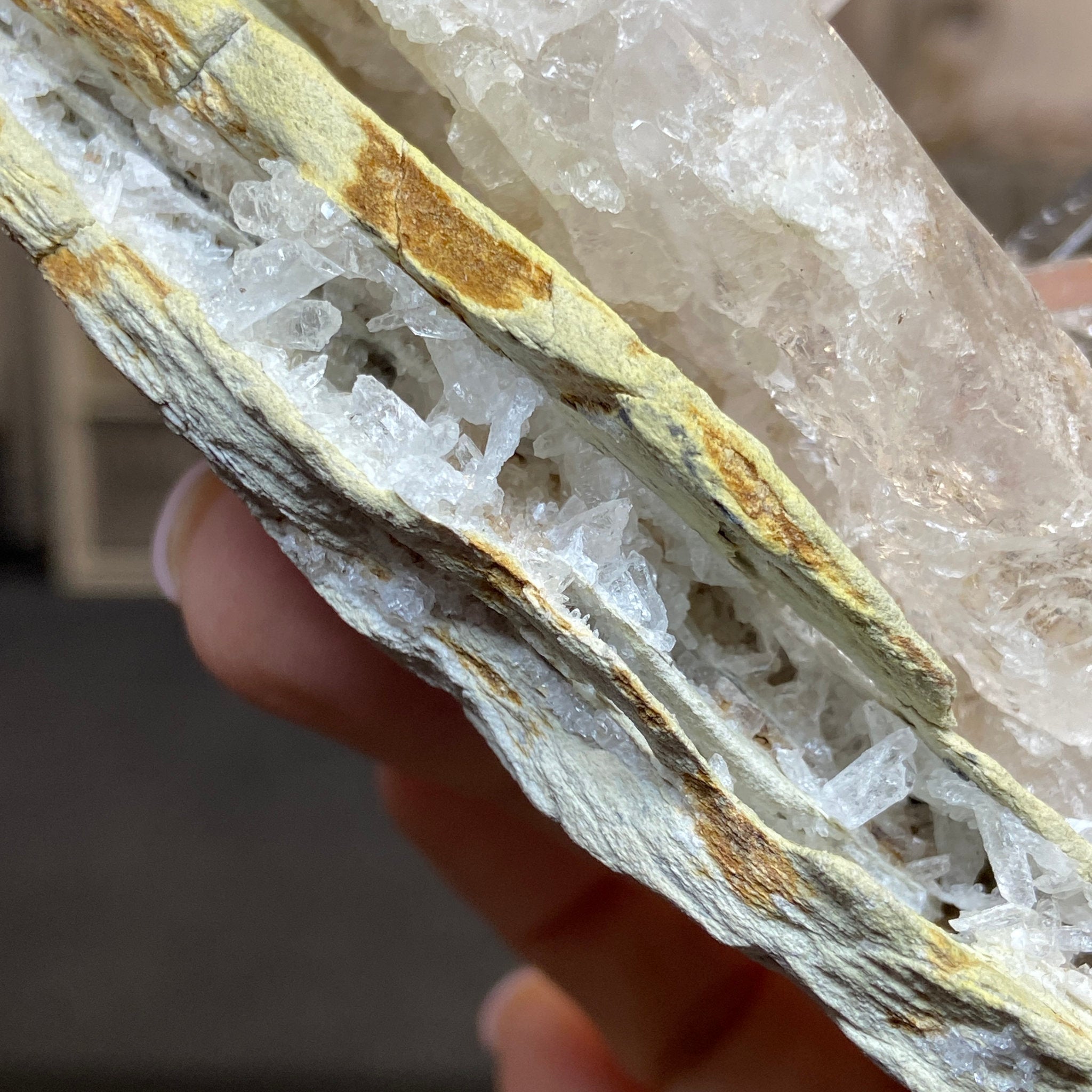 Alpha Terminated Lemurian Light Cluster