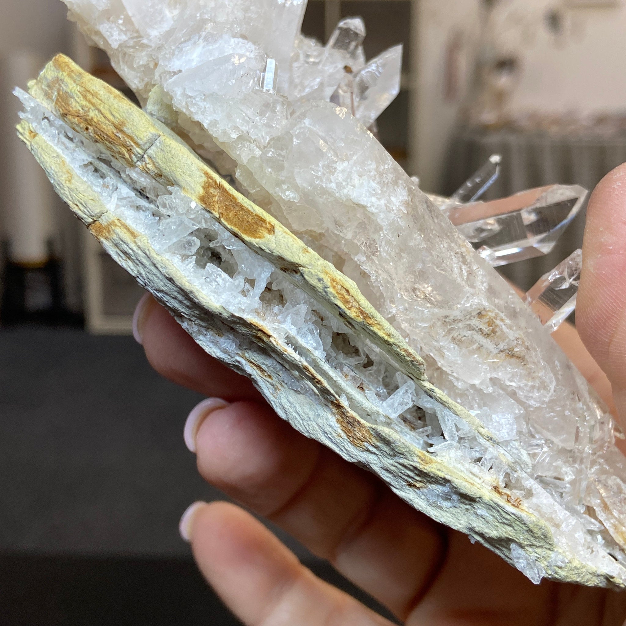 Alpha Terminated Lemurian Light Cluster