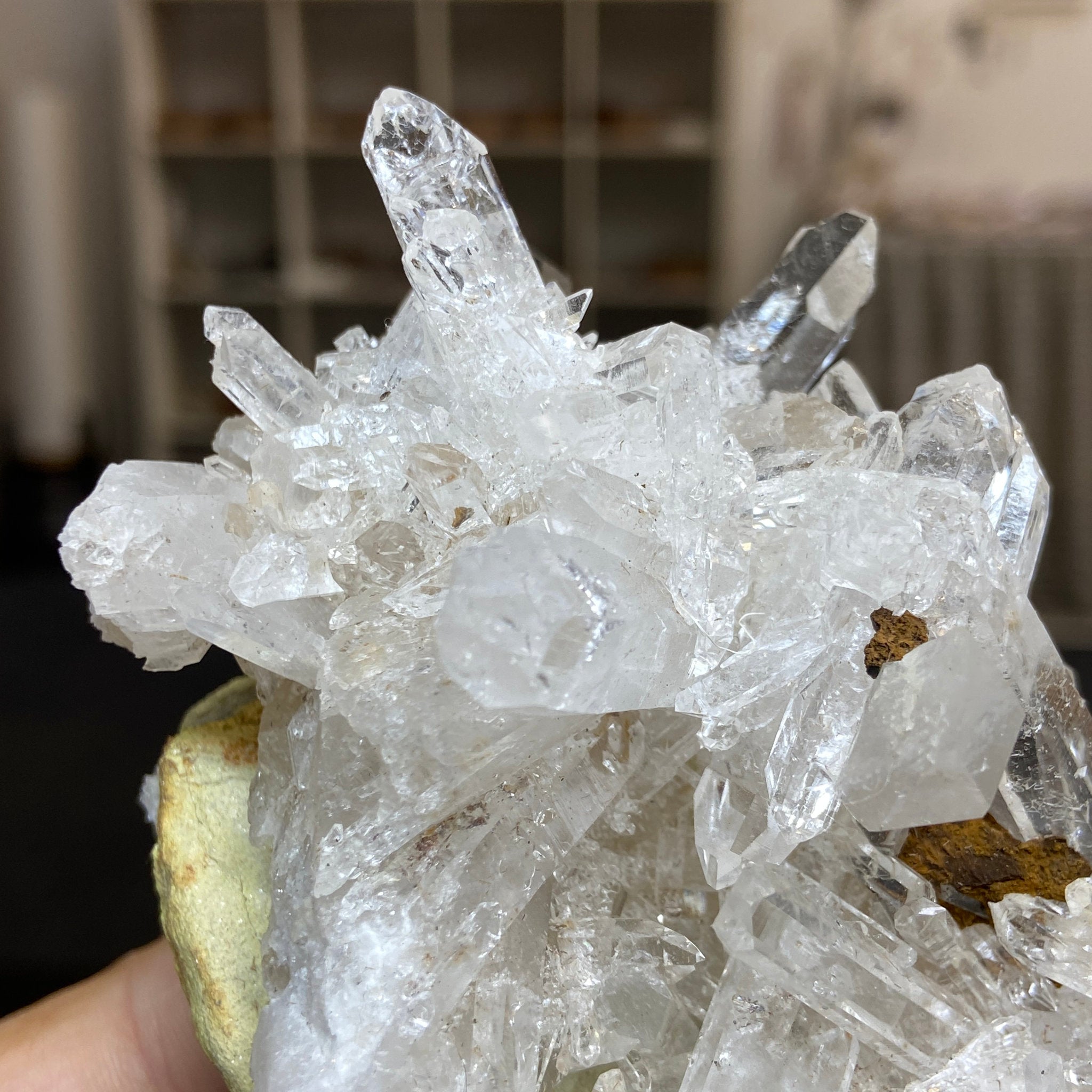 Alpha Terminated Lemurian Light Cluster