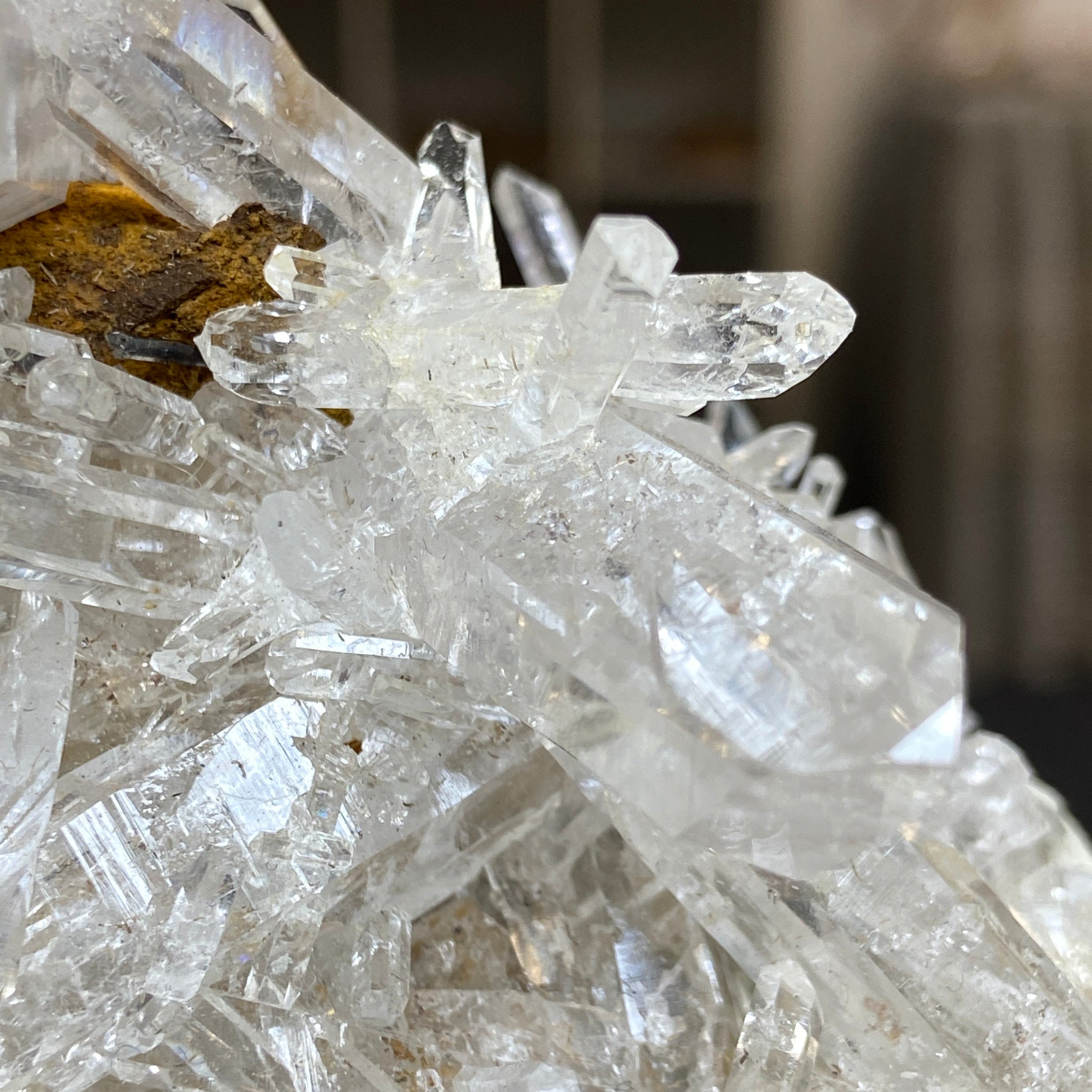 Alpha Terminated Lemurian Light Cluster