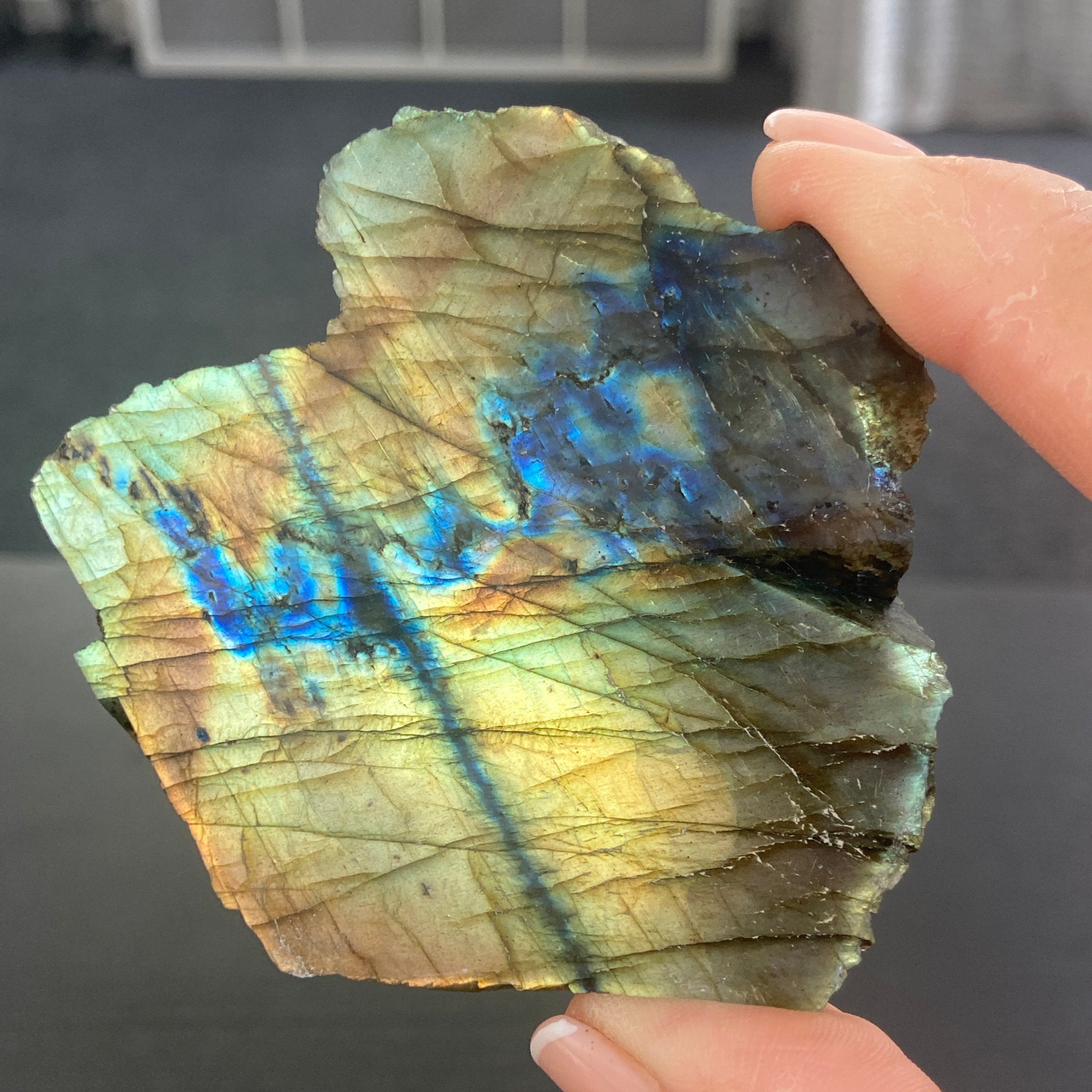 Madagascan “Papillon” Labradorite Slice
