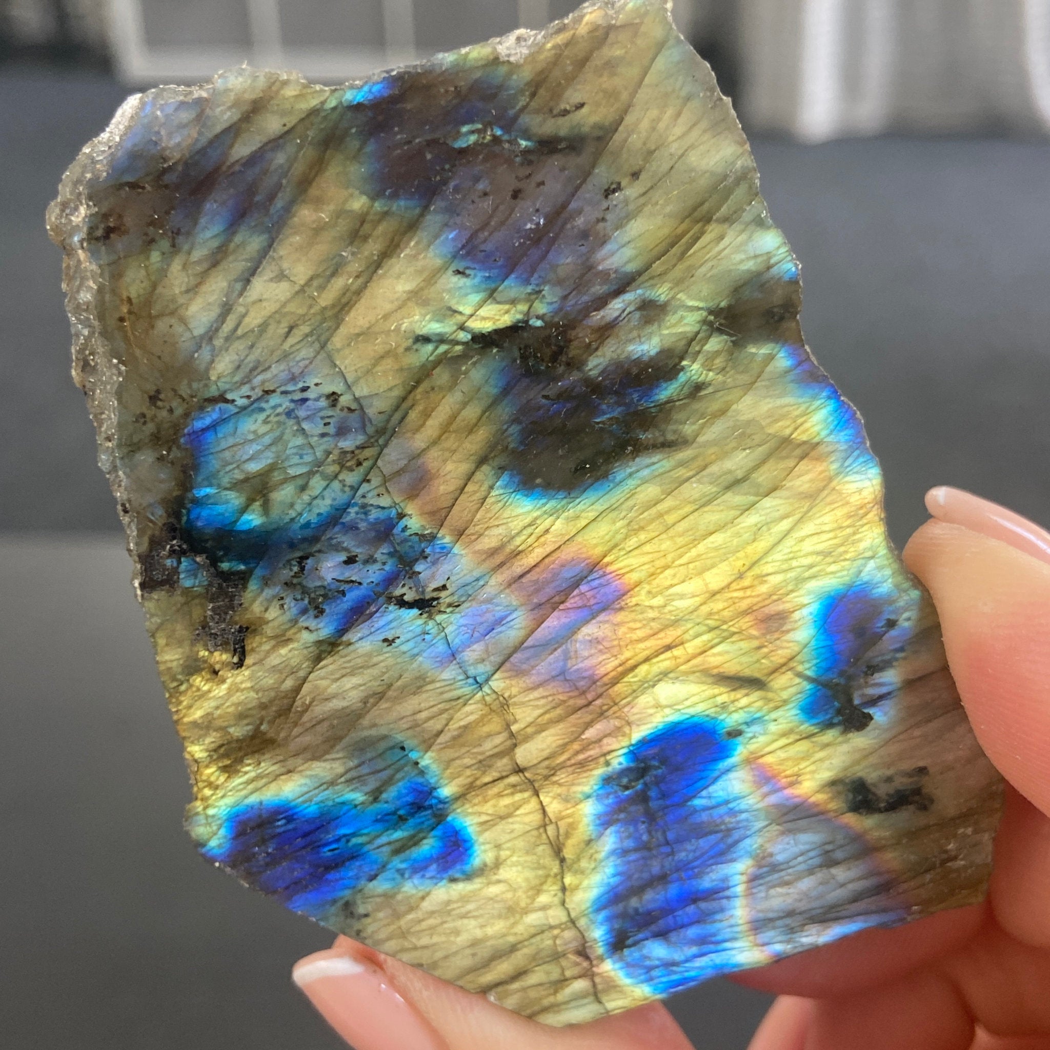Madagascan Papillon Labradorite