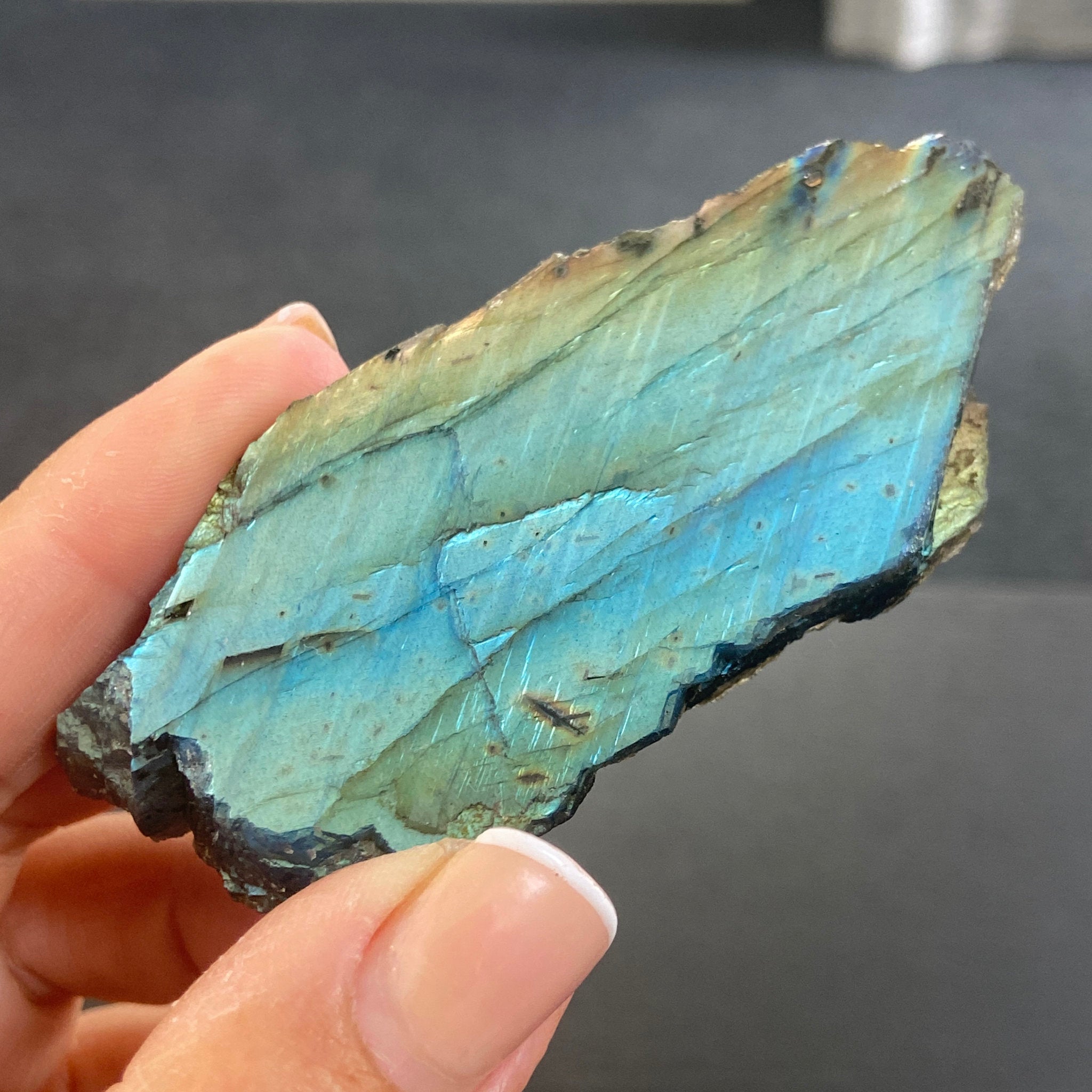Madagascan Papillon Labradorite