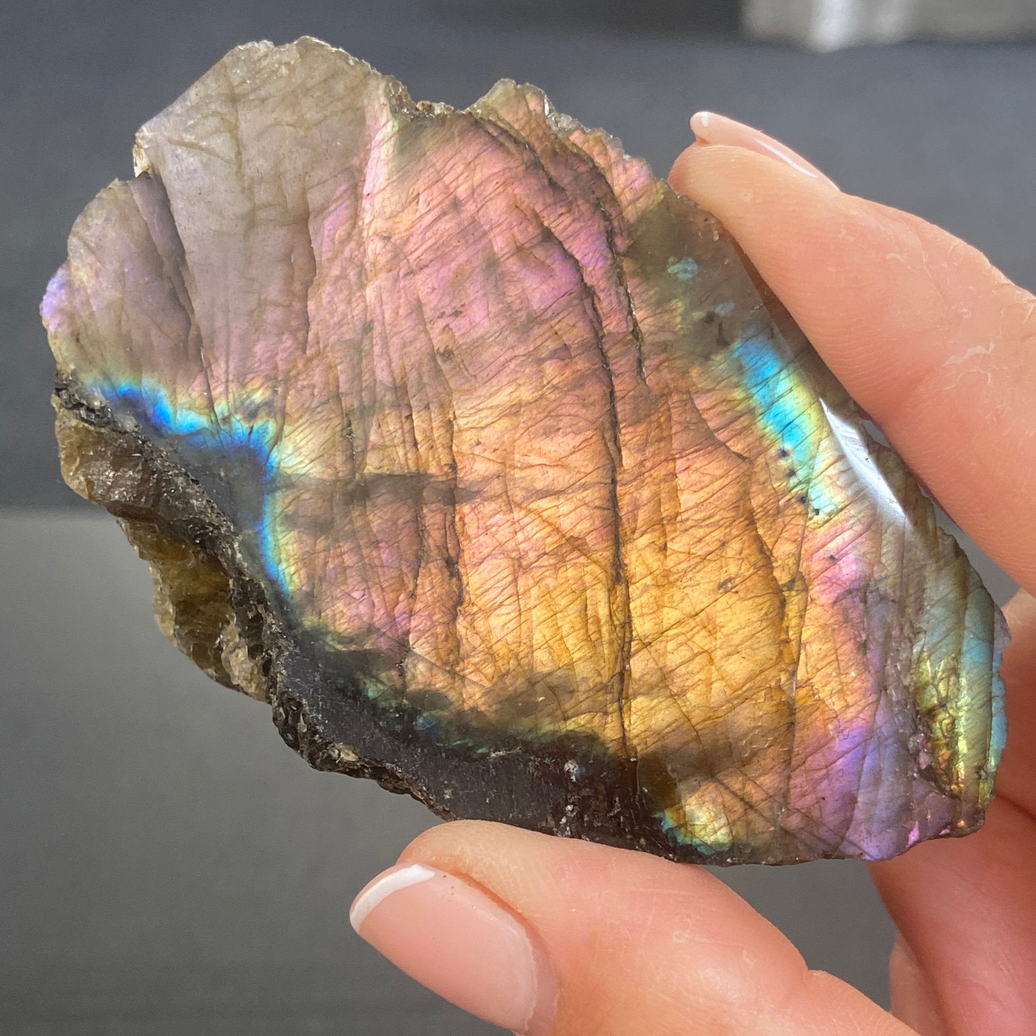 Madagascan Papillon Labradorite