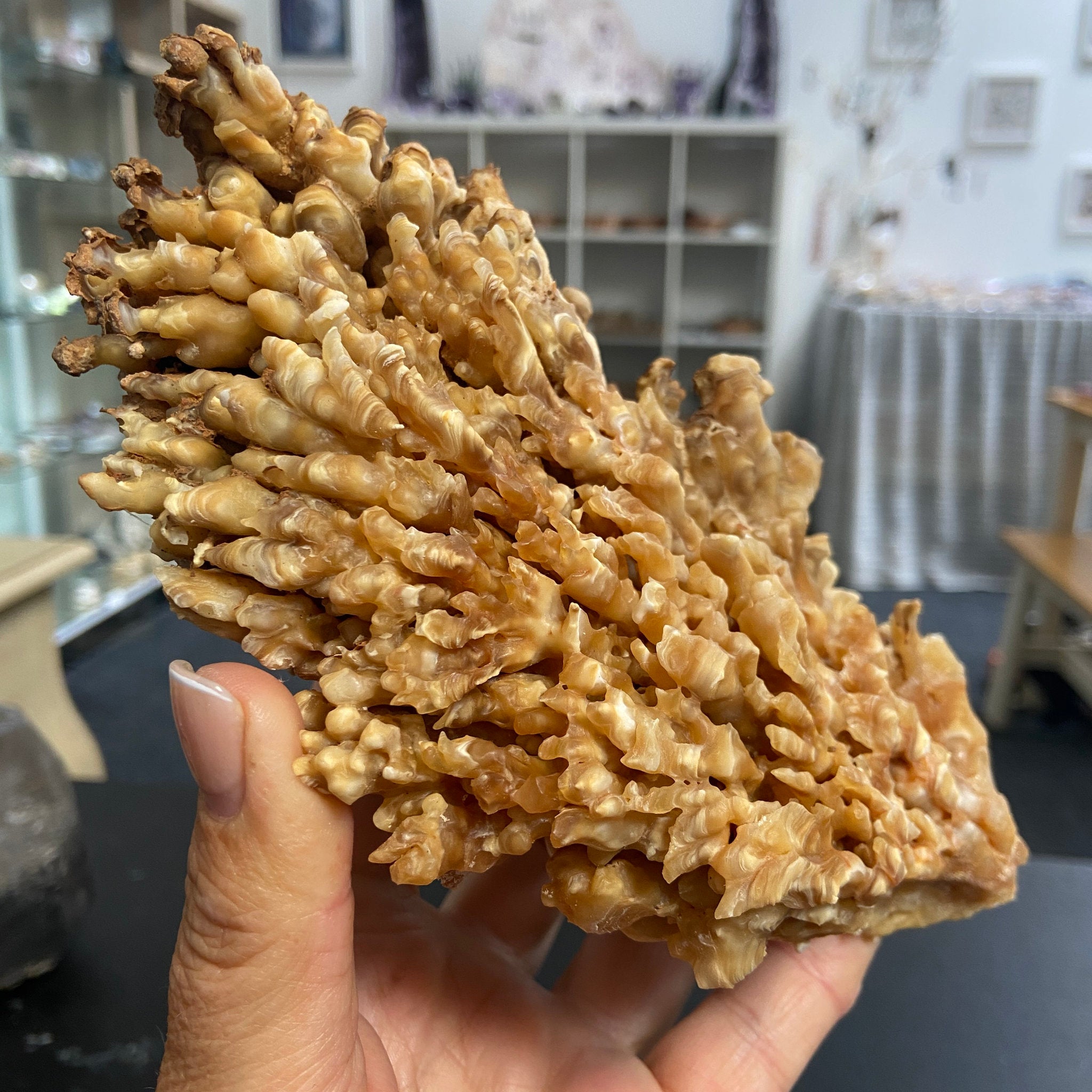 Moroccan Cave Aragonite