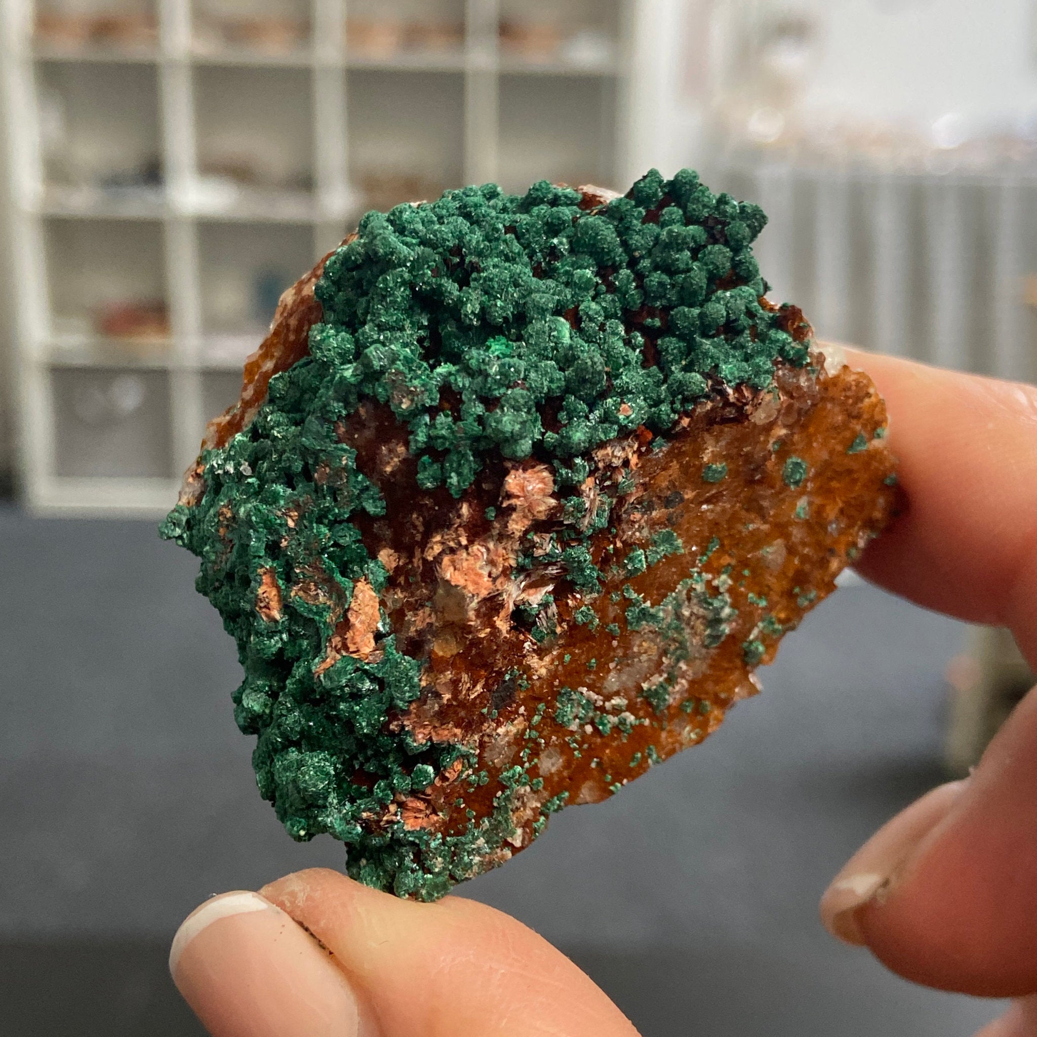 Moroccan Malachite on Iron-Rich Matrix