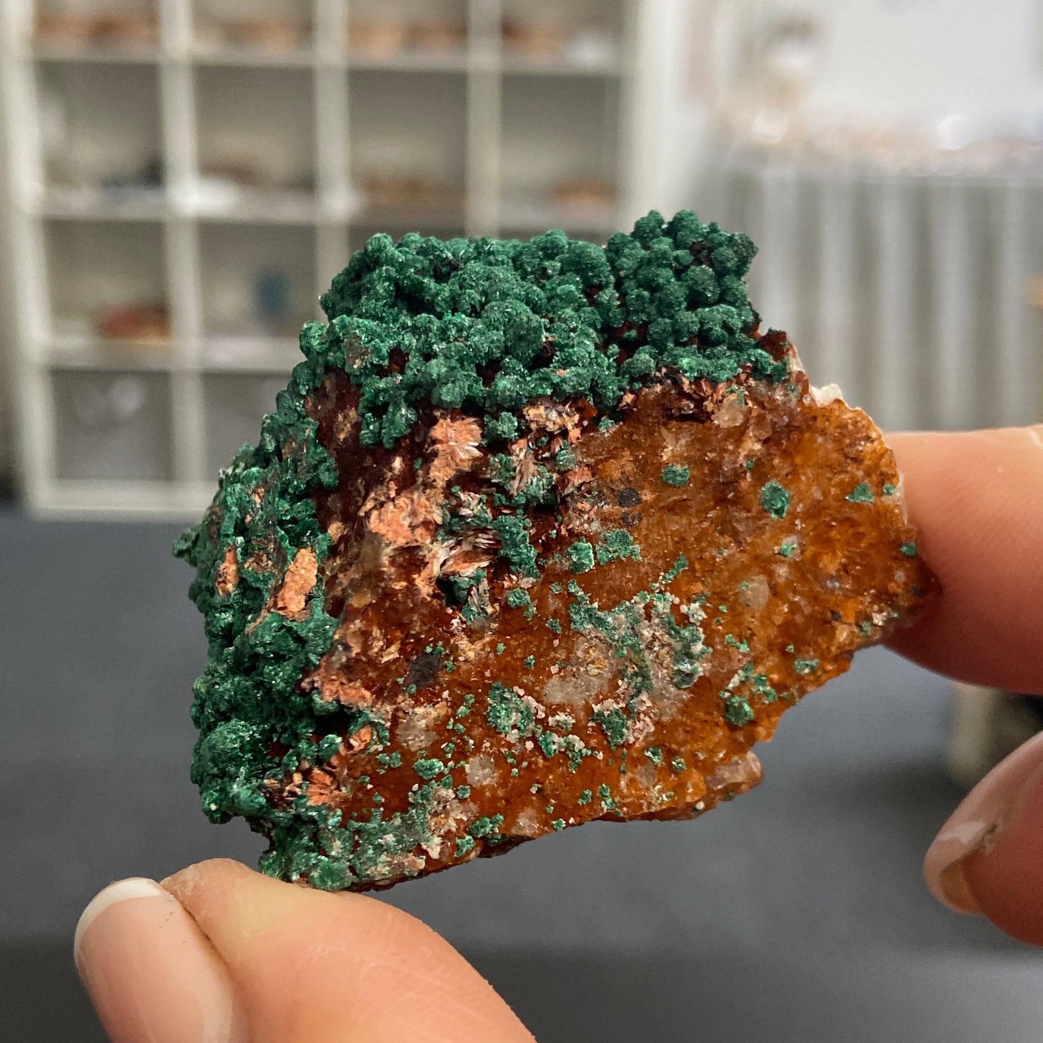 Moroccan Malachite on Iron-Rich Matrix