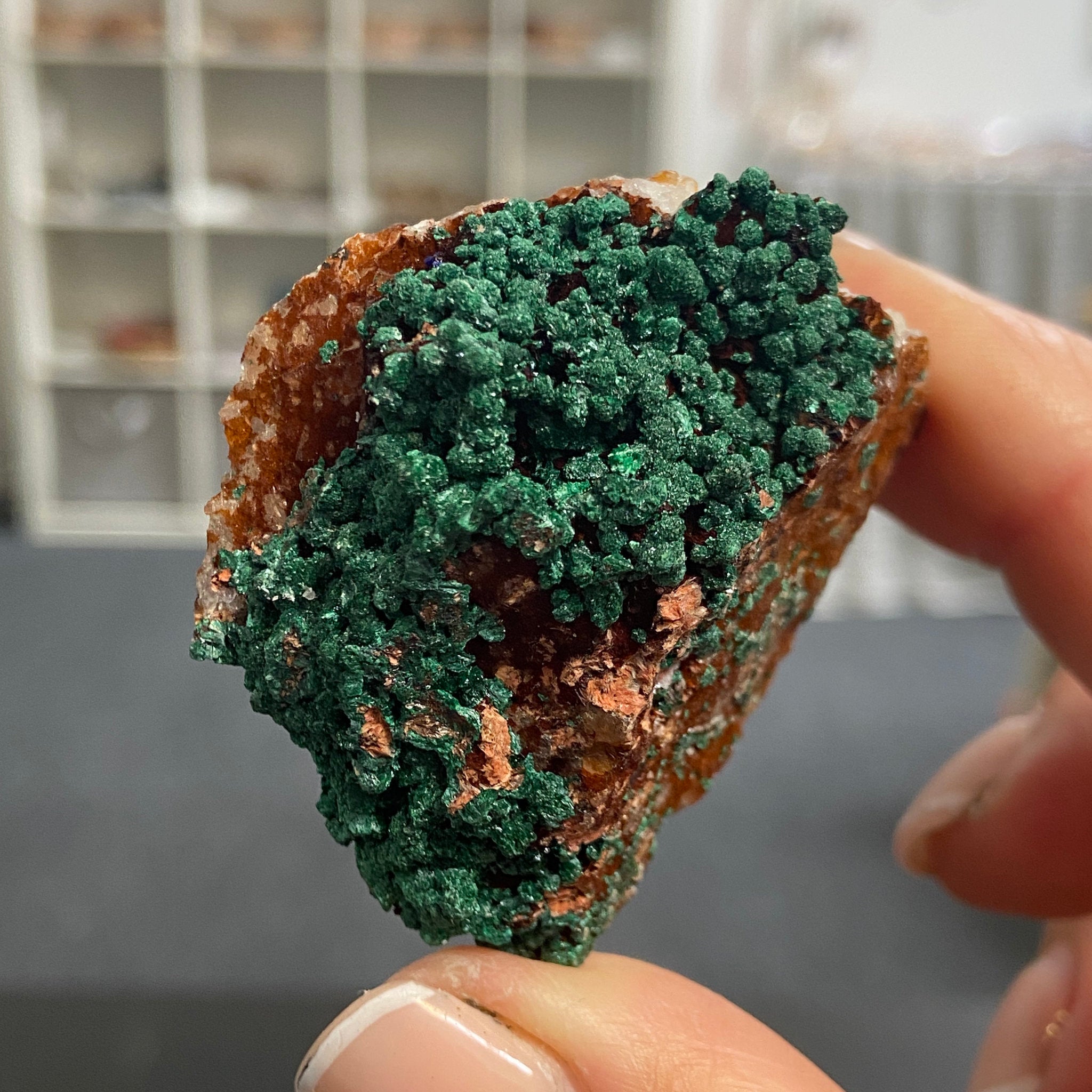 Moroccan Malachite on Iron-Rich Matrix