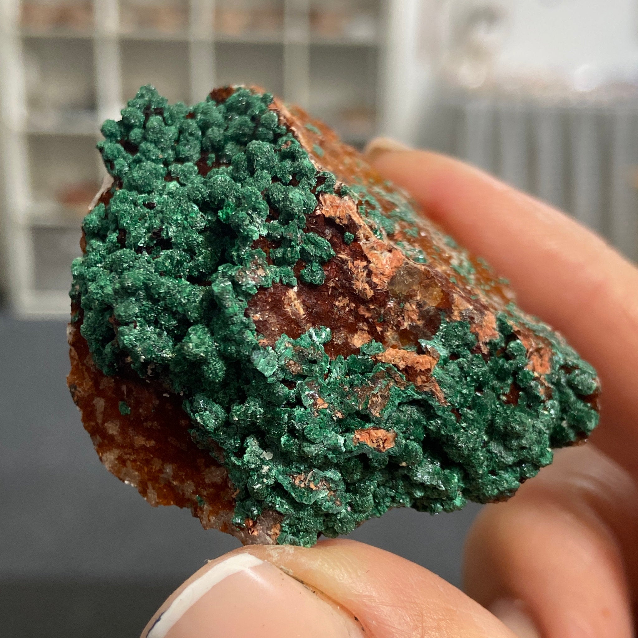 Moroccan Malachite on Iron-Rich Matrix