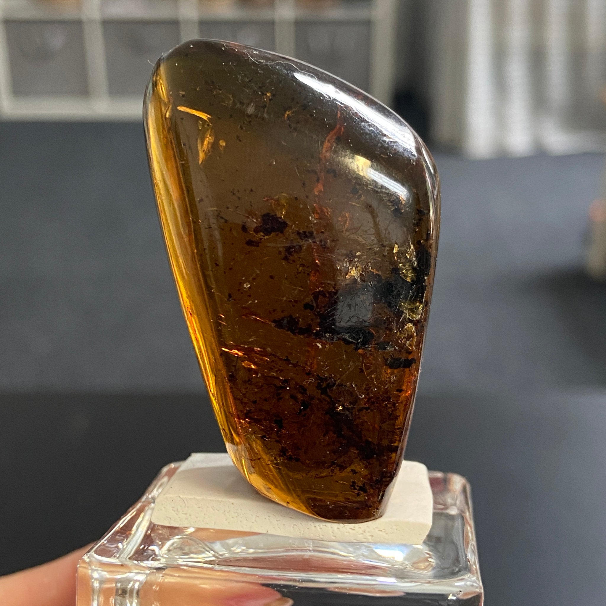 Rare Chiapas Amber Freeform – Mexico