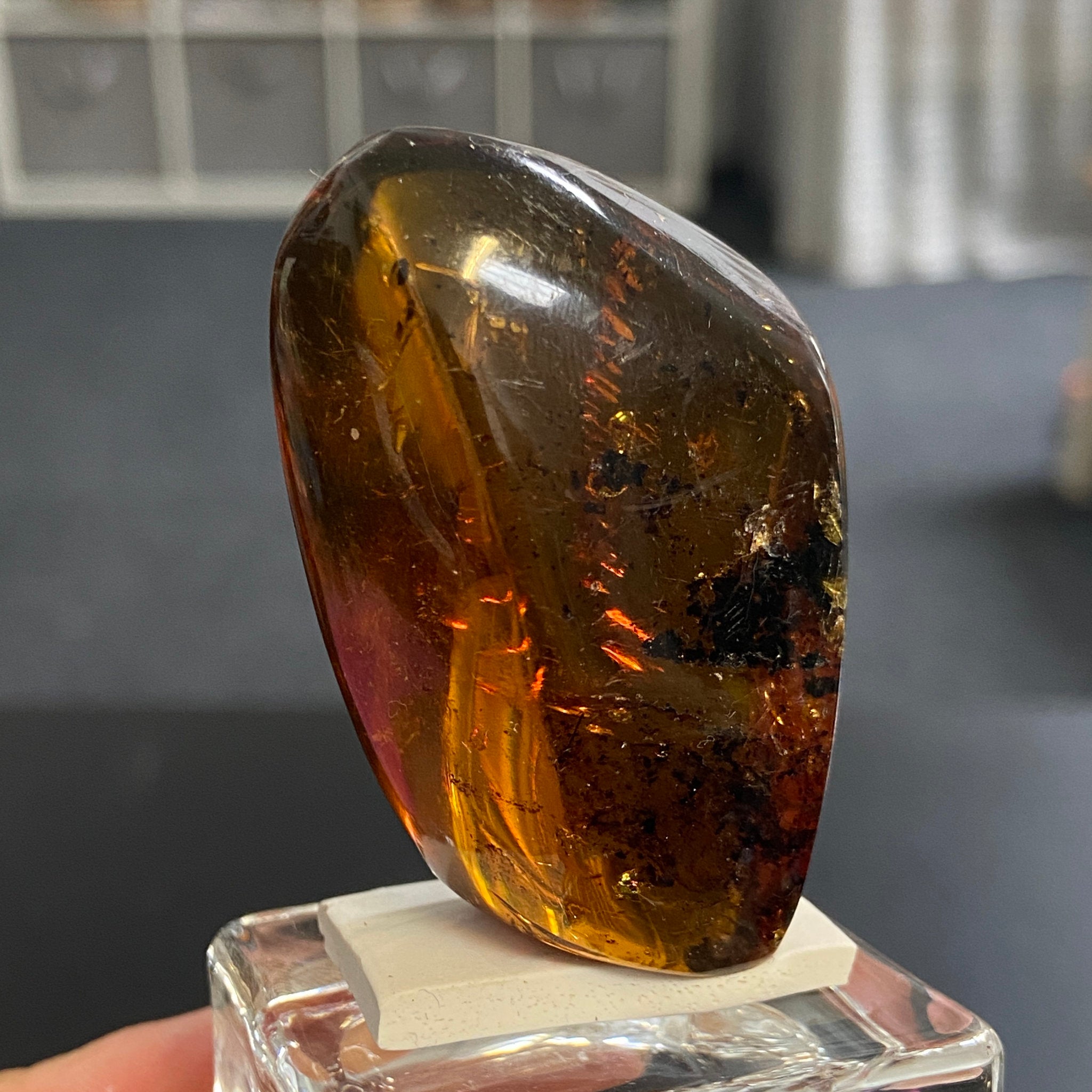 Rare Chiapas Amber Freeform – Mexico