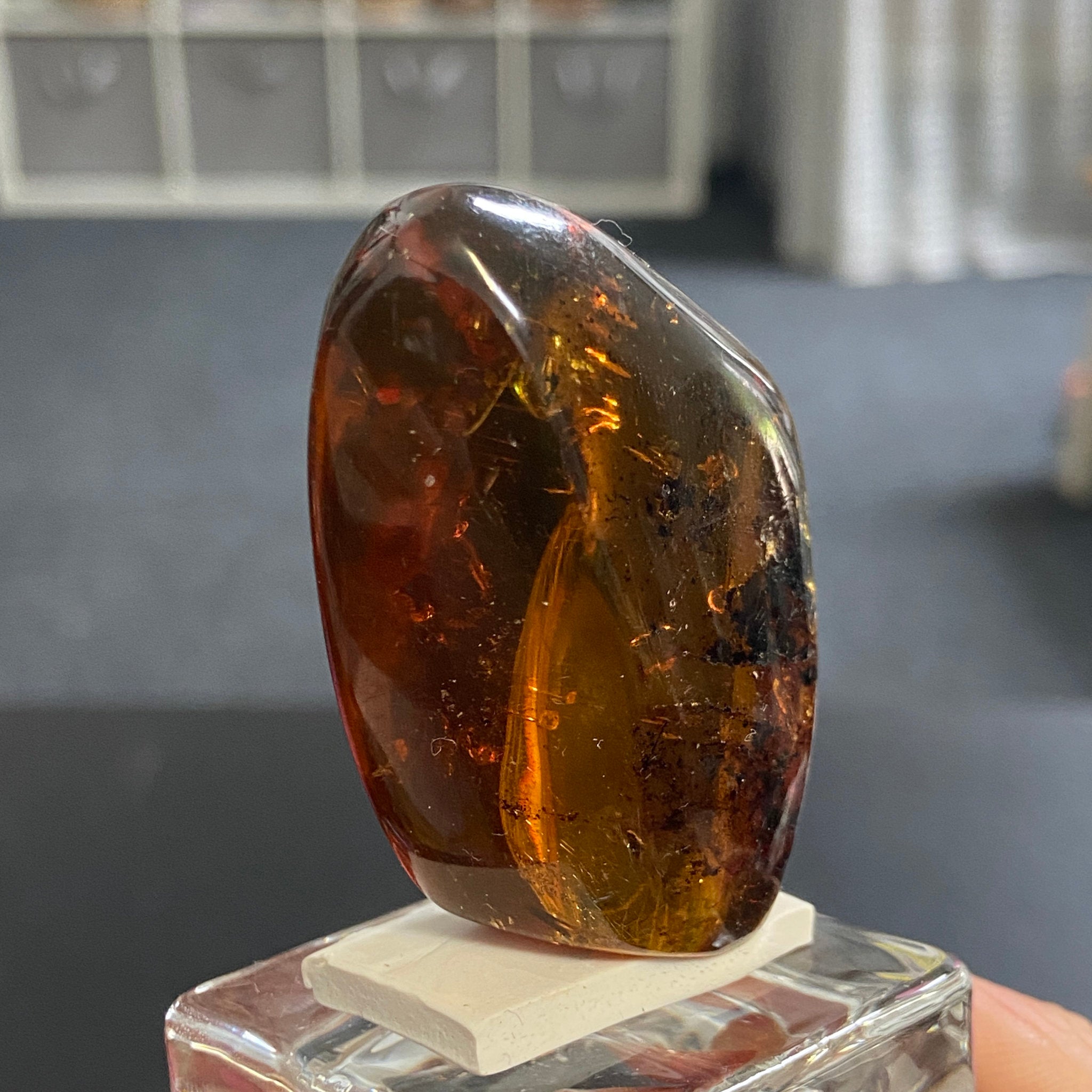 Rare Chiapas Amber Freeform – Mexico