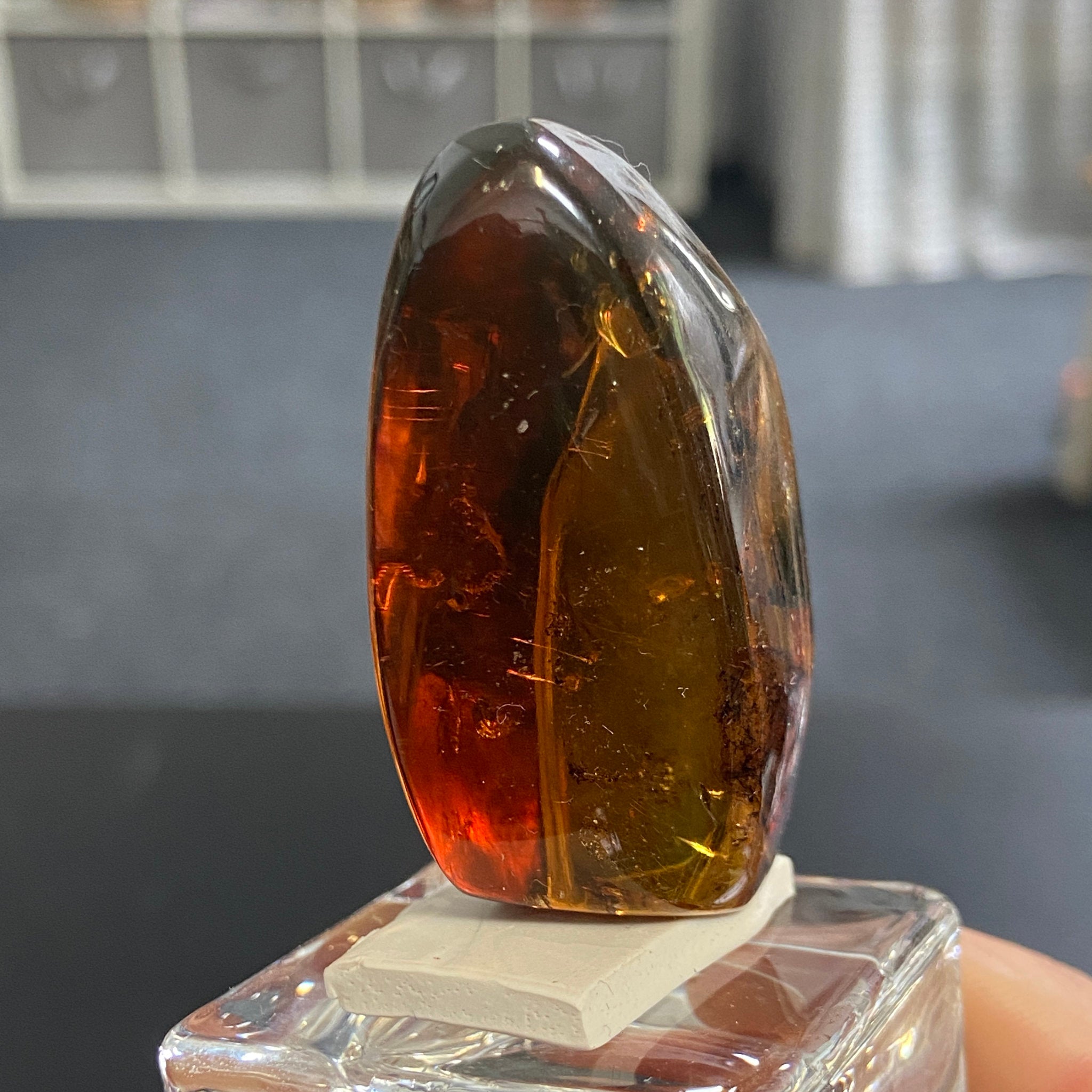 Rare Chiapas Amber Freeform – Mexico