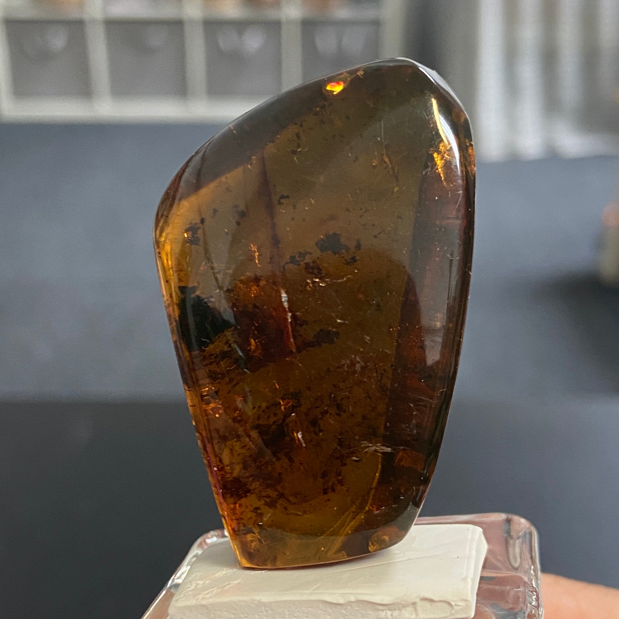 Rare Chiapas Amber Freeform – Mexico