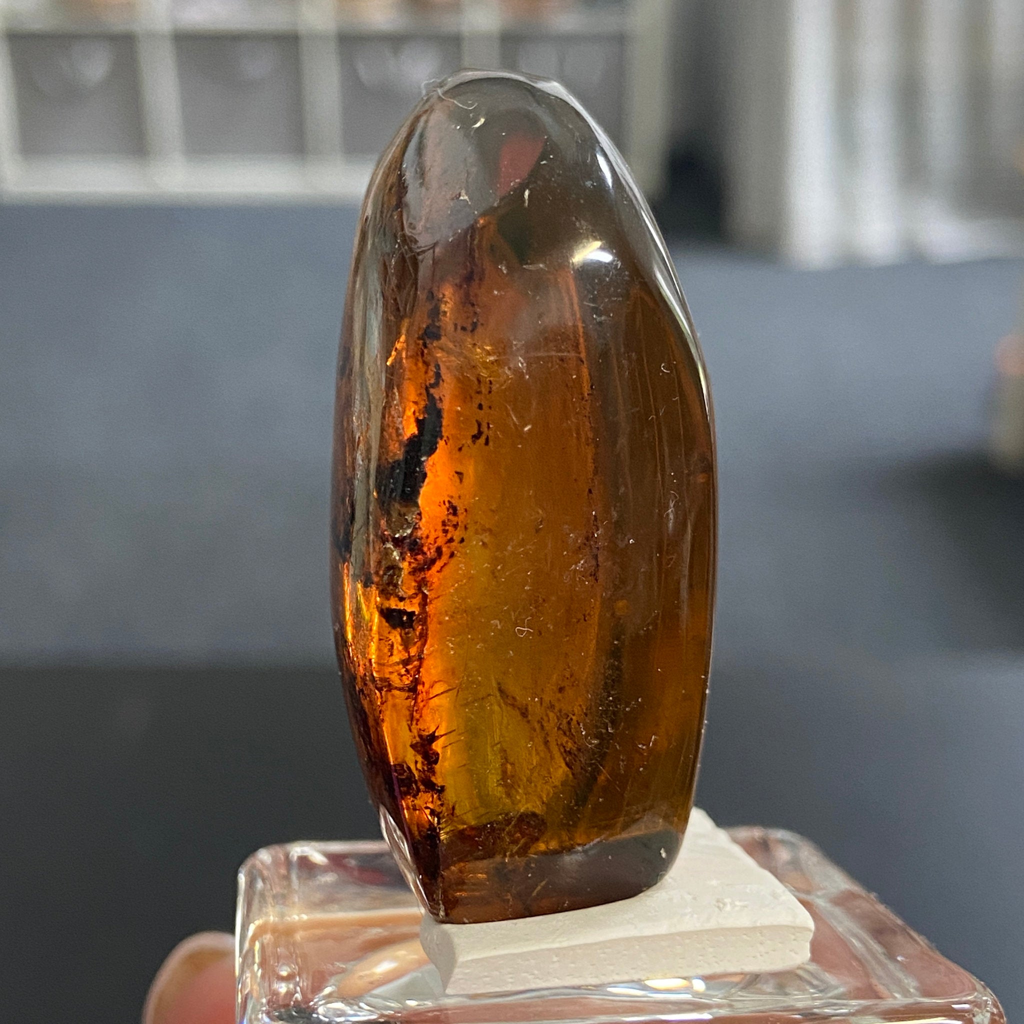Rare Chiapas Amber Freeform – Mexico