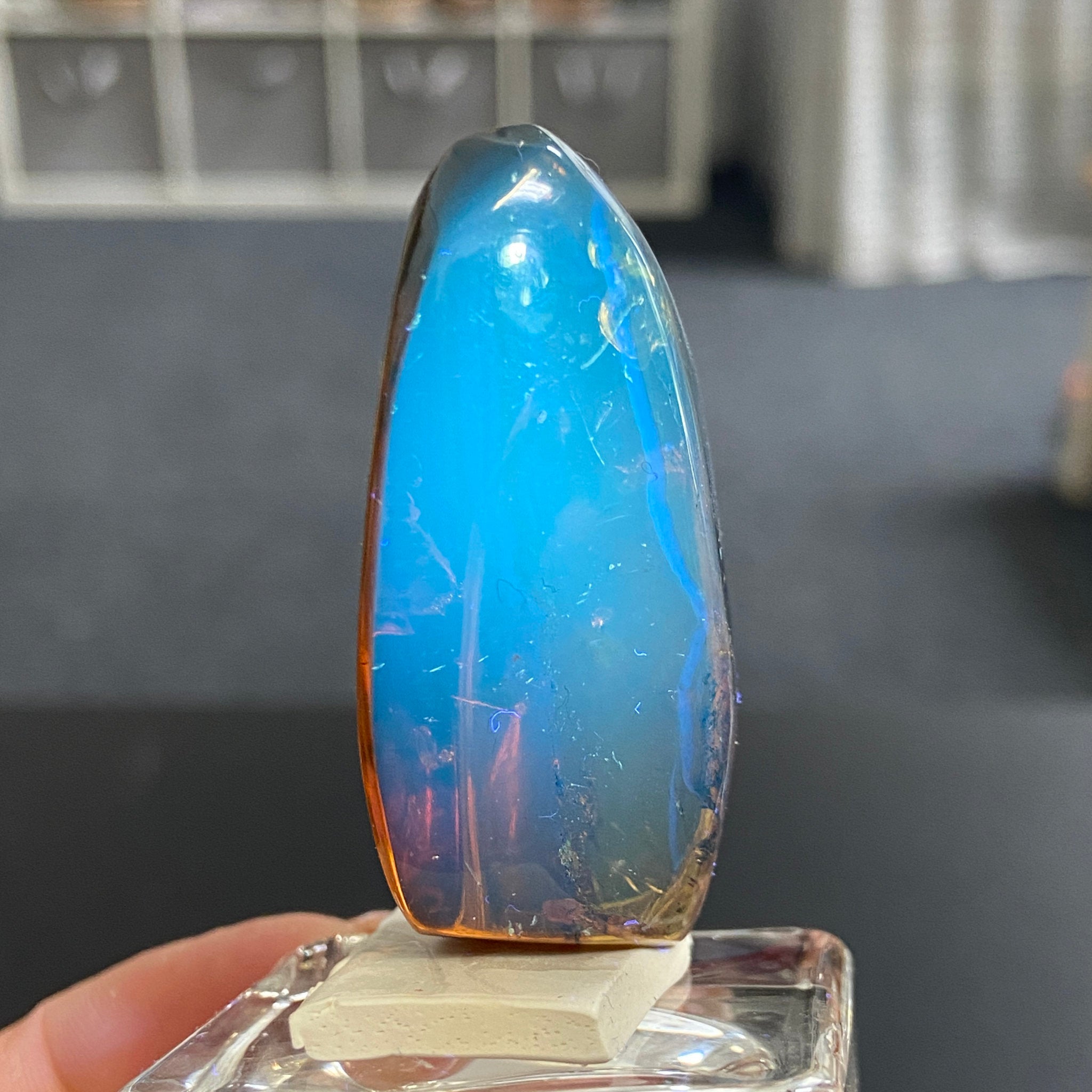 Rare Chiapas Amber Freeform – Mexico