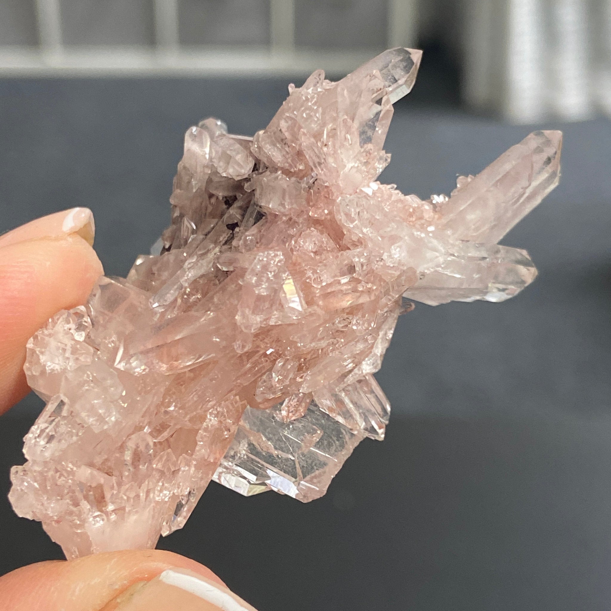 Sacred Pink Lemurian Quartz Cluster