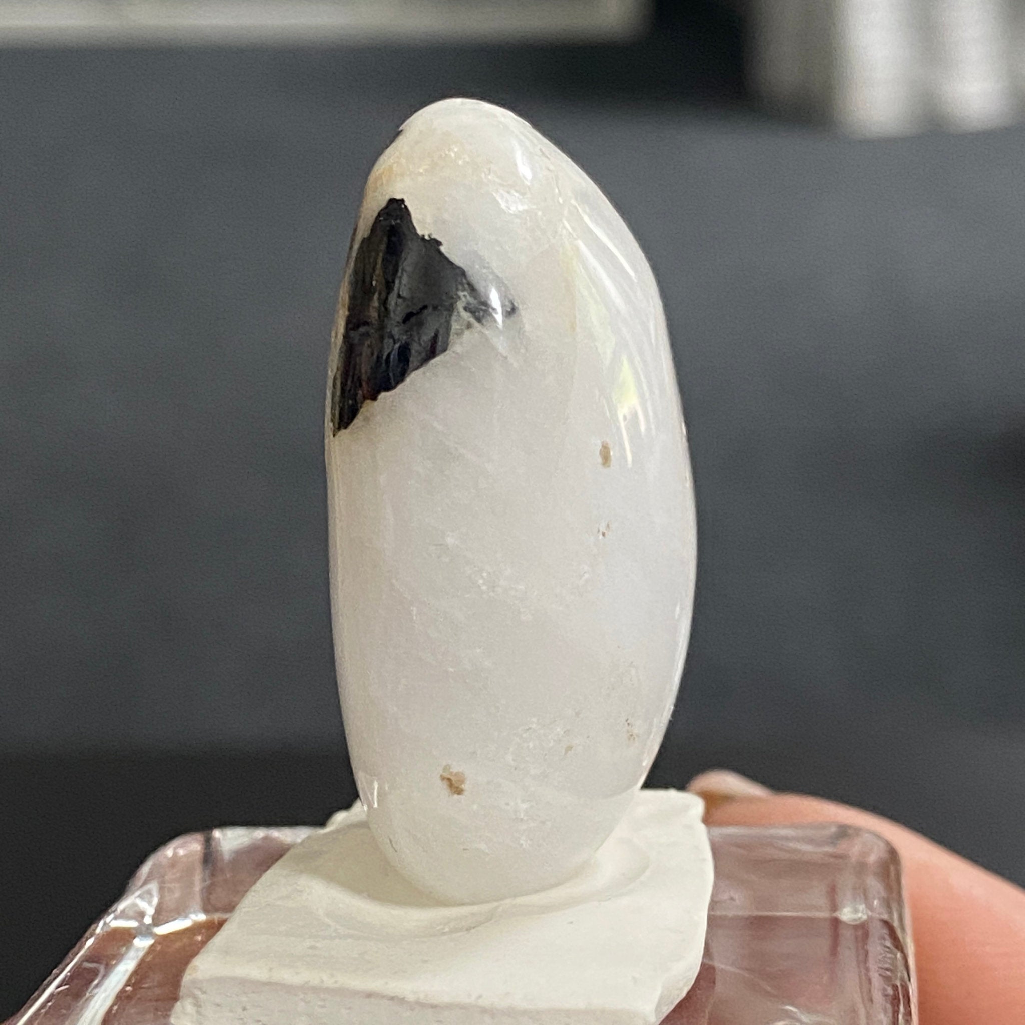 AAA Cryolite – Greenland