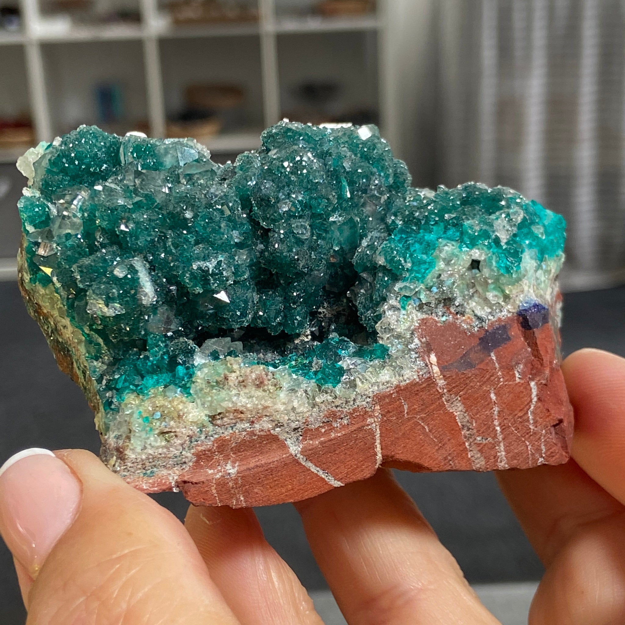 Private Collection - Dioptase with Clear Quartz