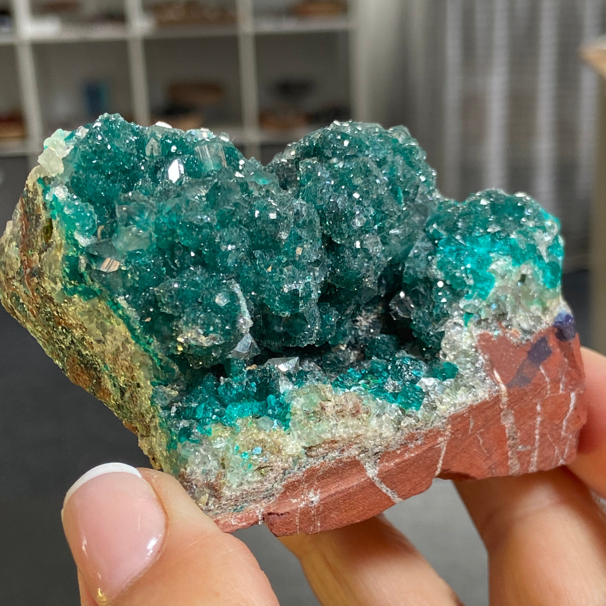 Private Collection - Dioptase with Clear Quartz