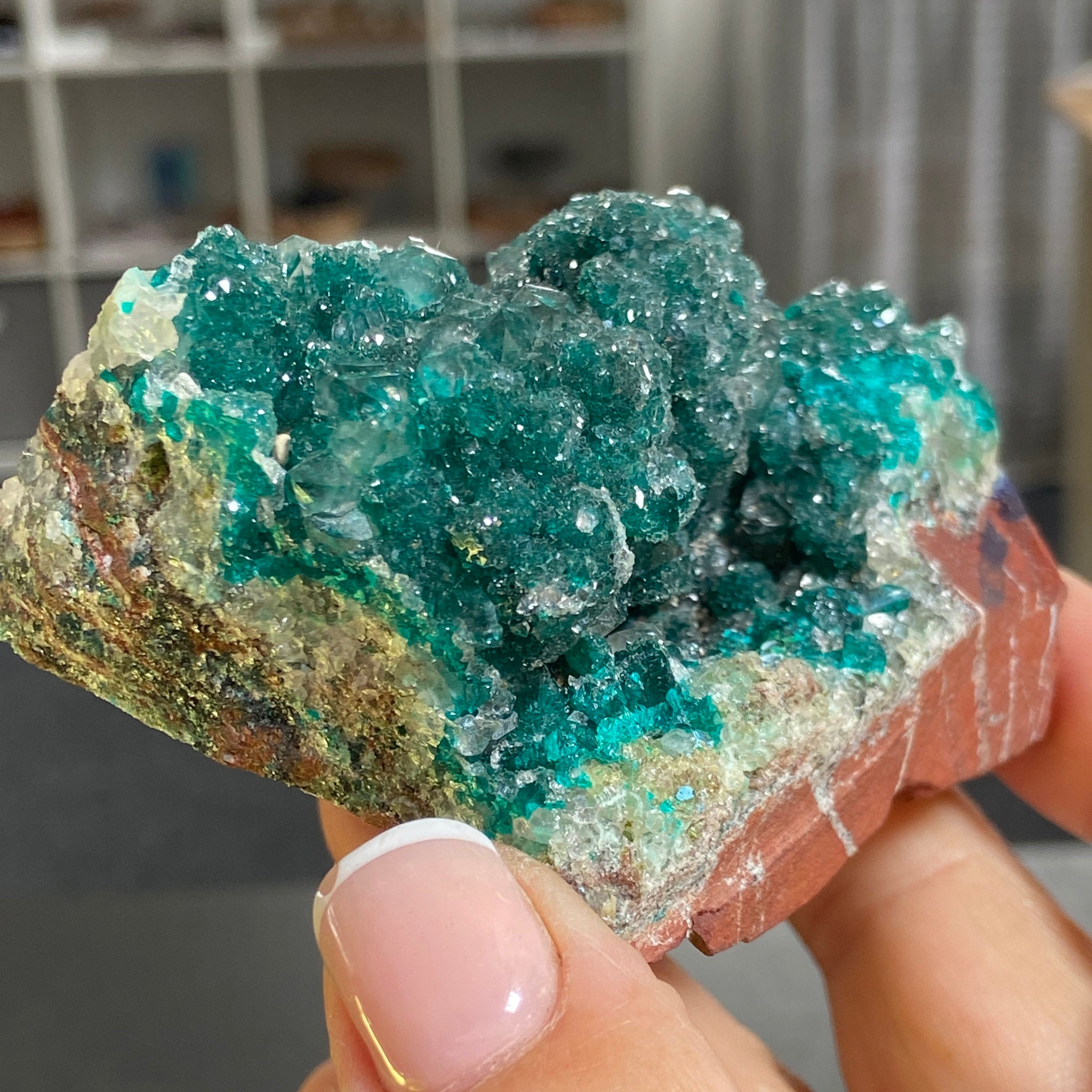 Private Collection - Dioptase with Clear Quartz