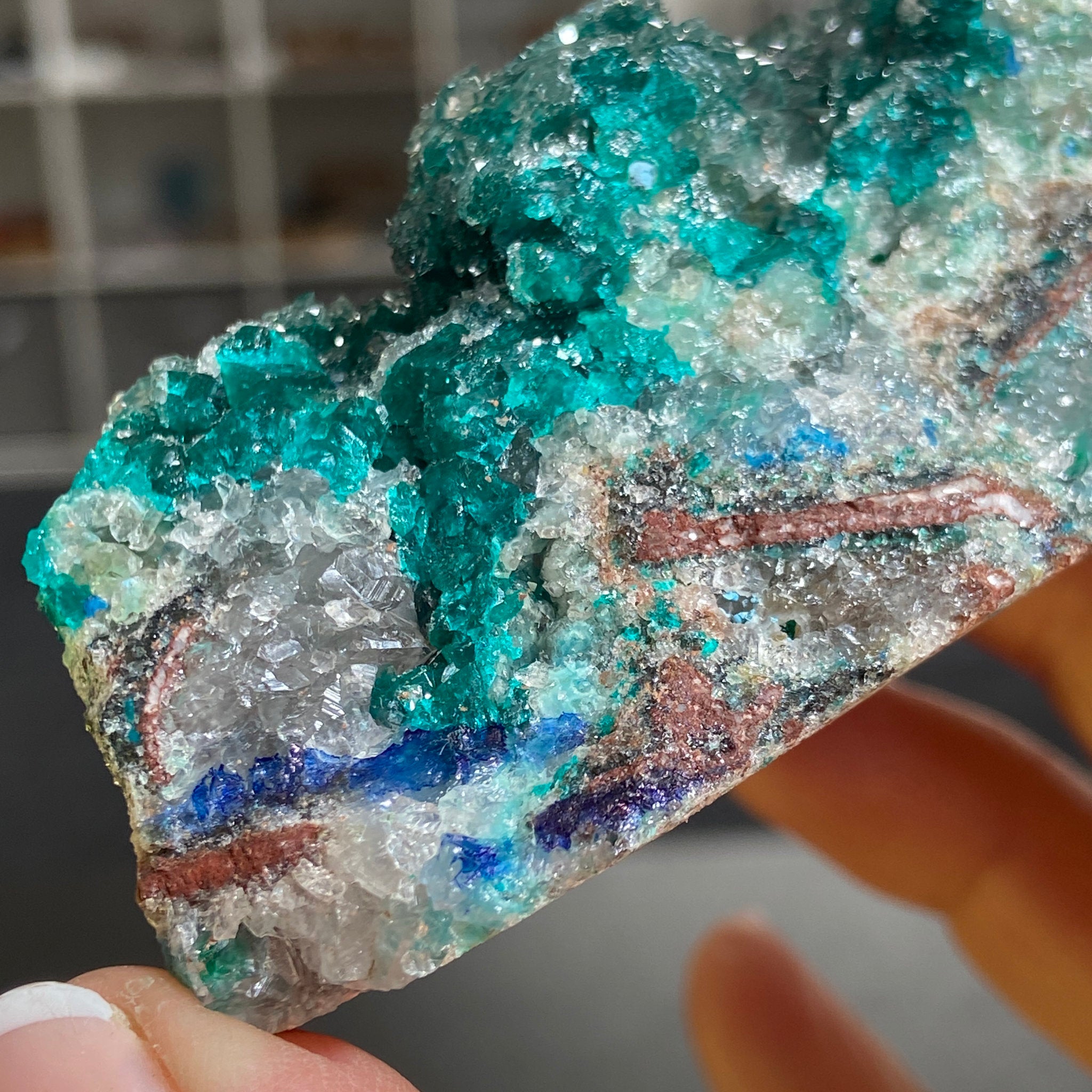 Private Collection - Dioptase with Clear Quartz