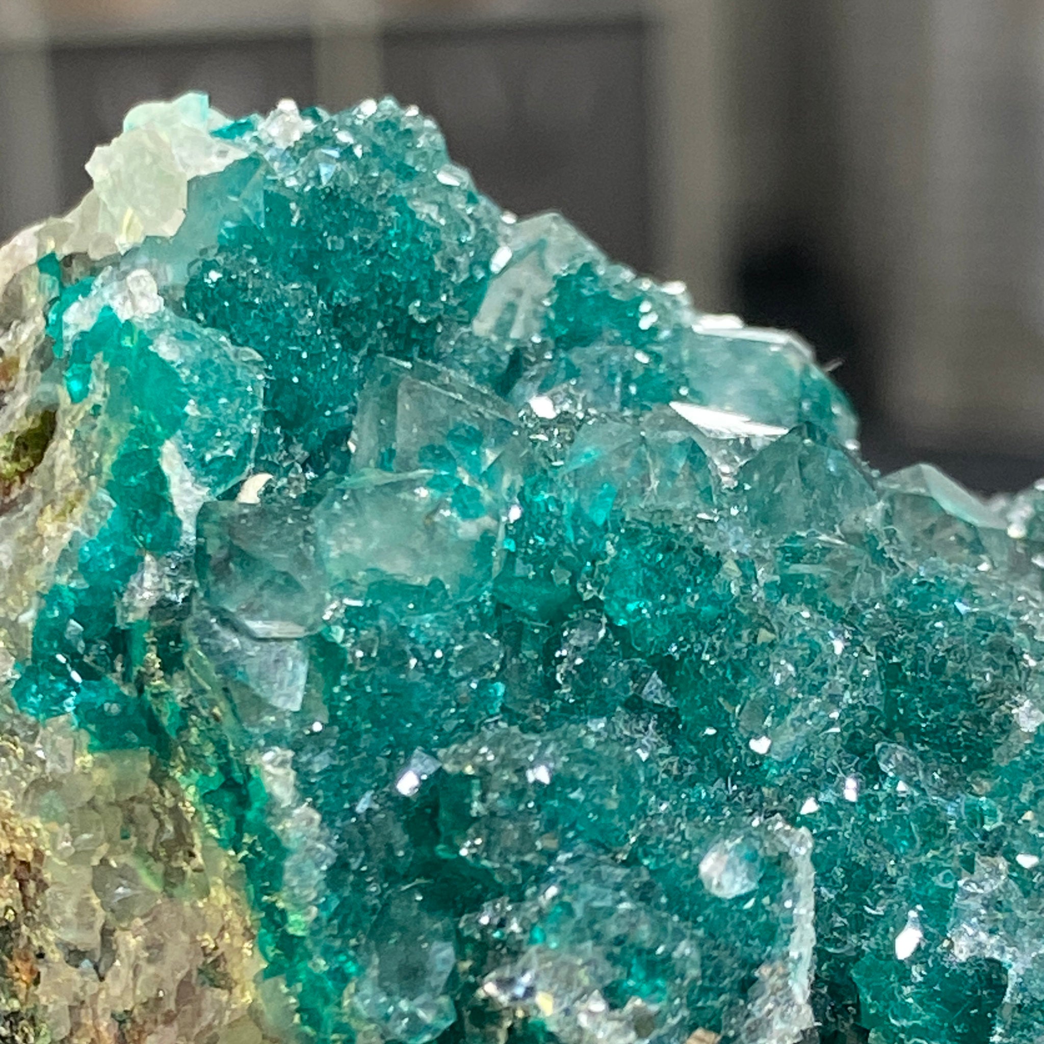 Private Collection - Dioptase with Clear Quartz