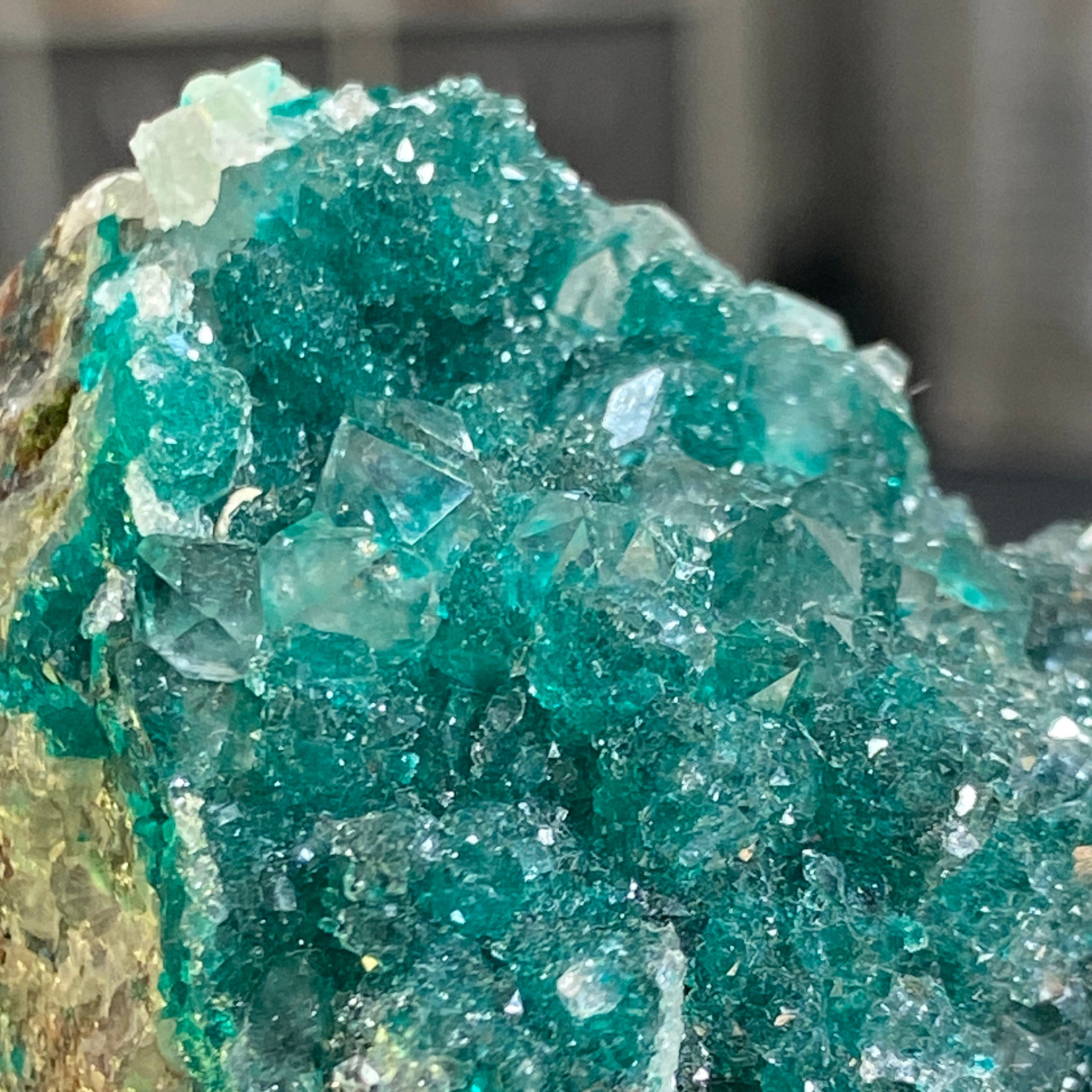 Private Collection - Dioptase with Clear Quartz