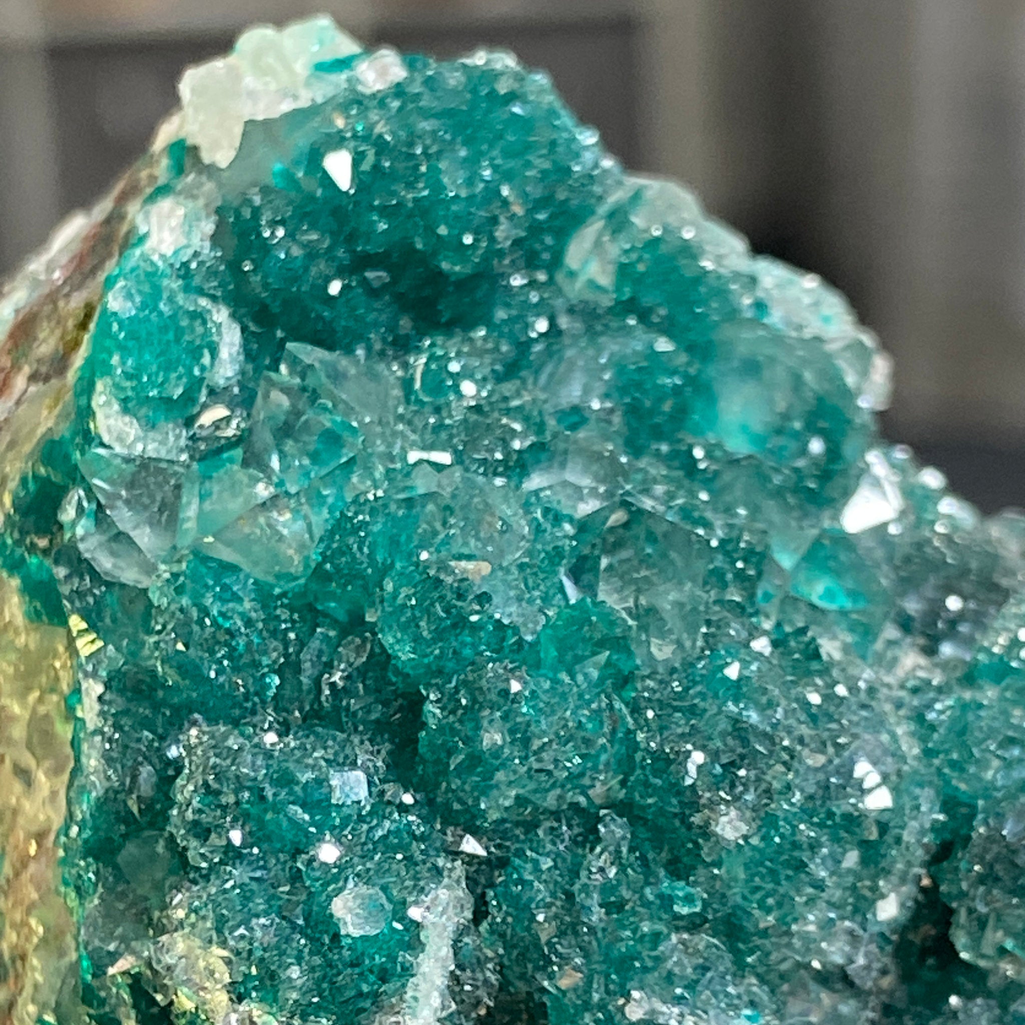 Private Collection - Dioptase with Clear Quartz