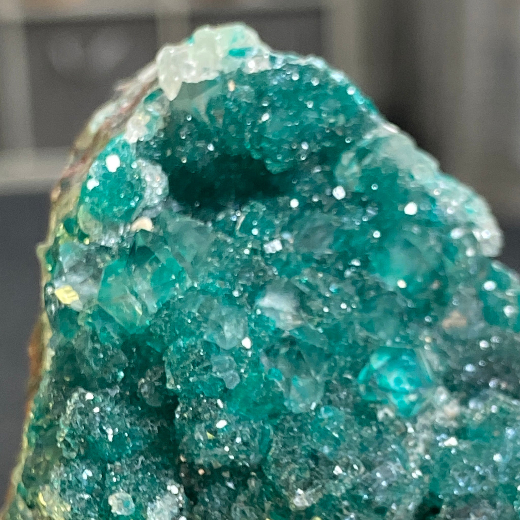 Private Collection - Dioptase with Clear Quartz