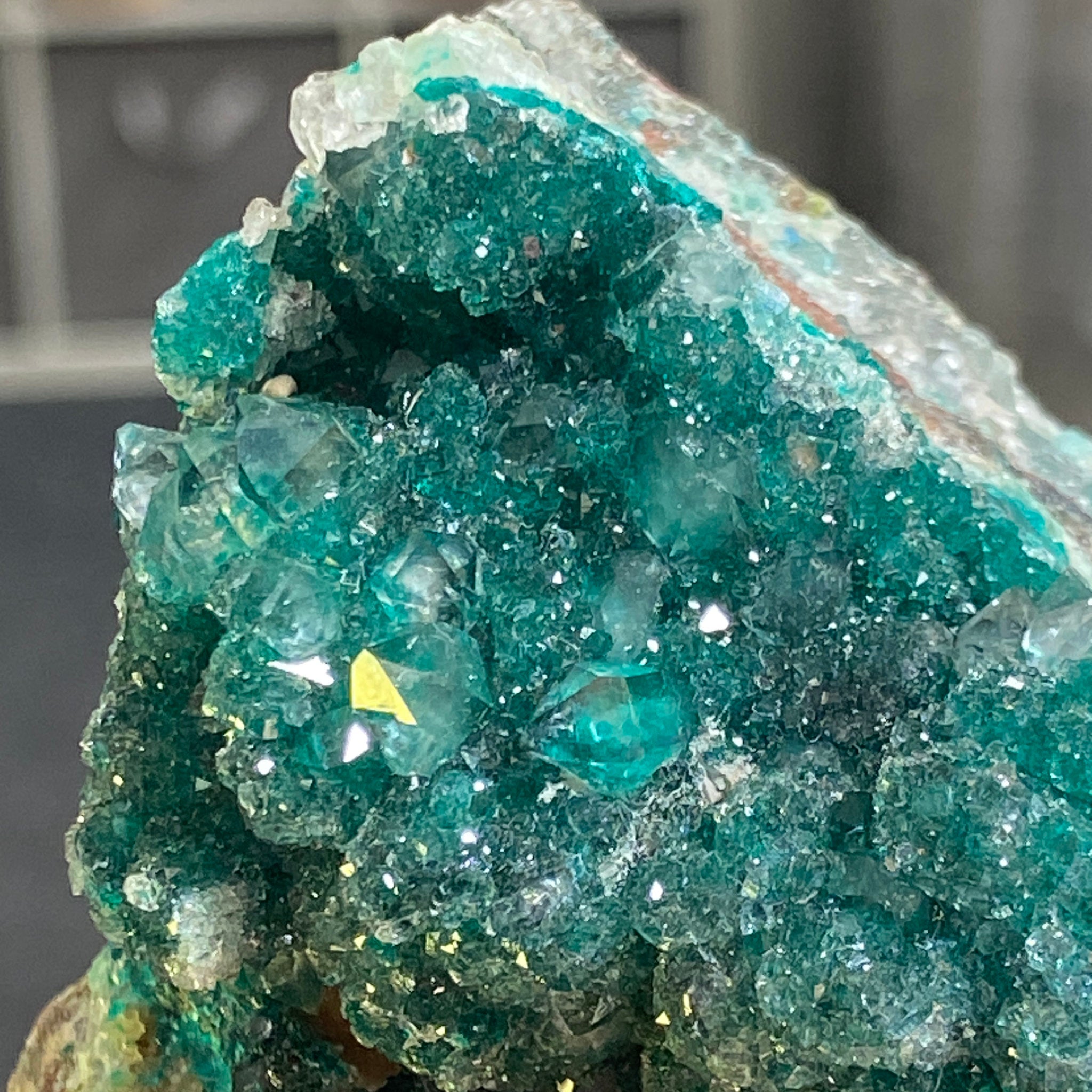 Private Collection - Dioptase with Clear Quartz