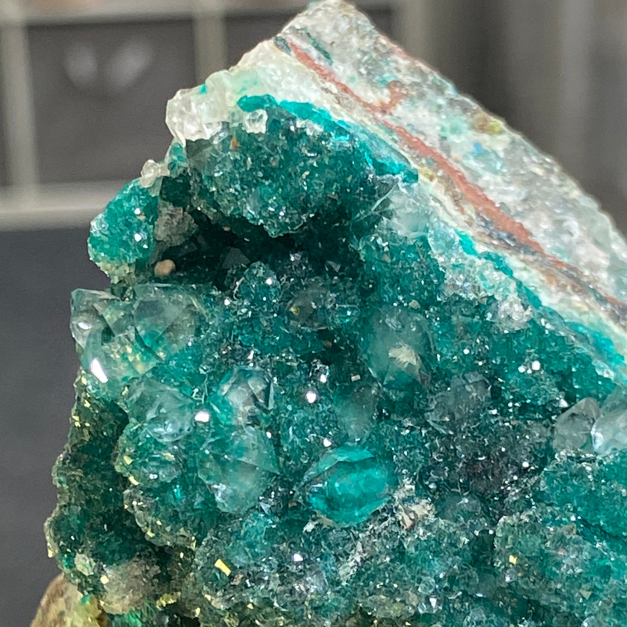 Private Collection - Dioptase with Clear Quartz