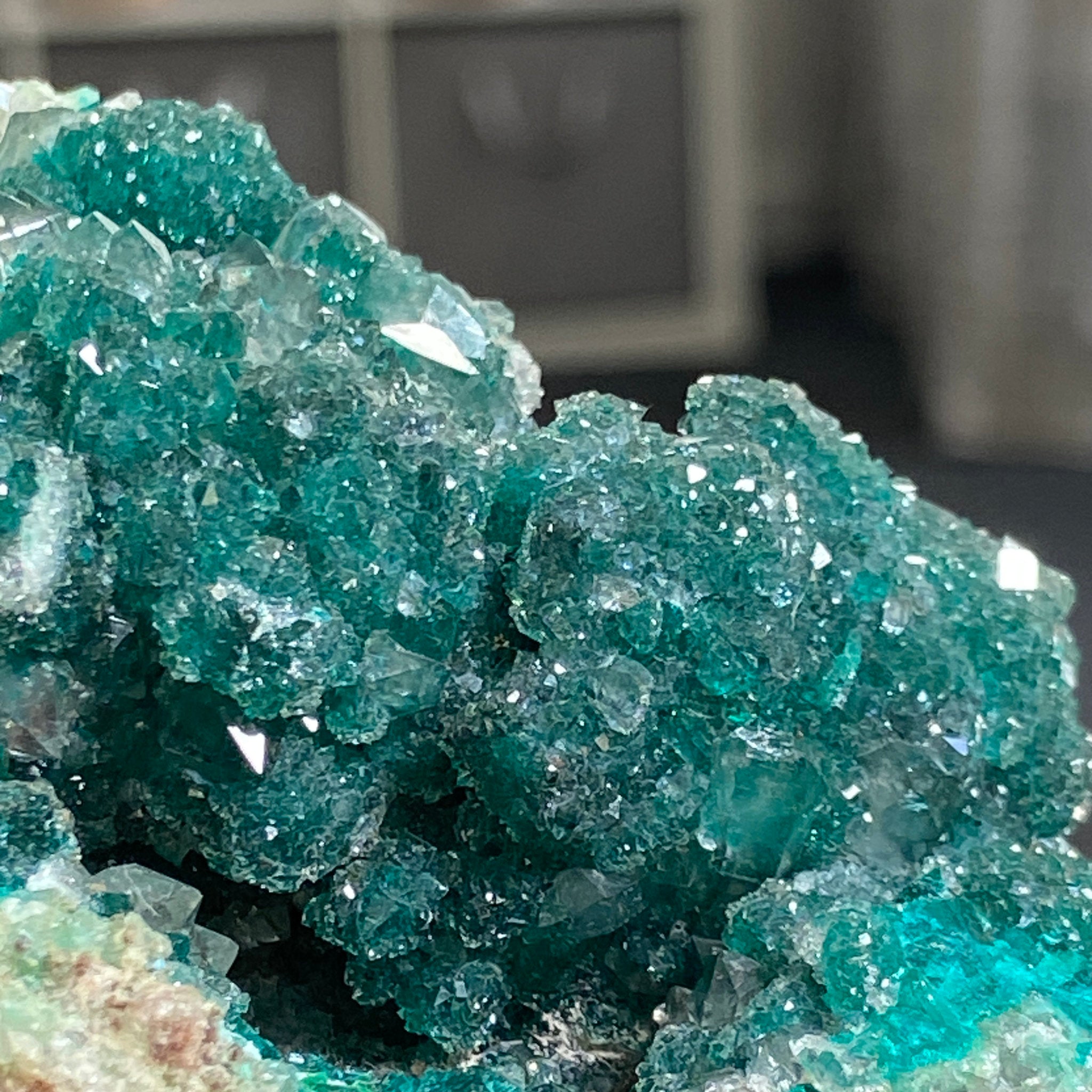 Private Collection - Dioptase with Clear Quartz