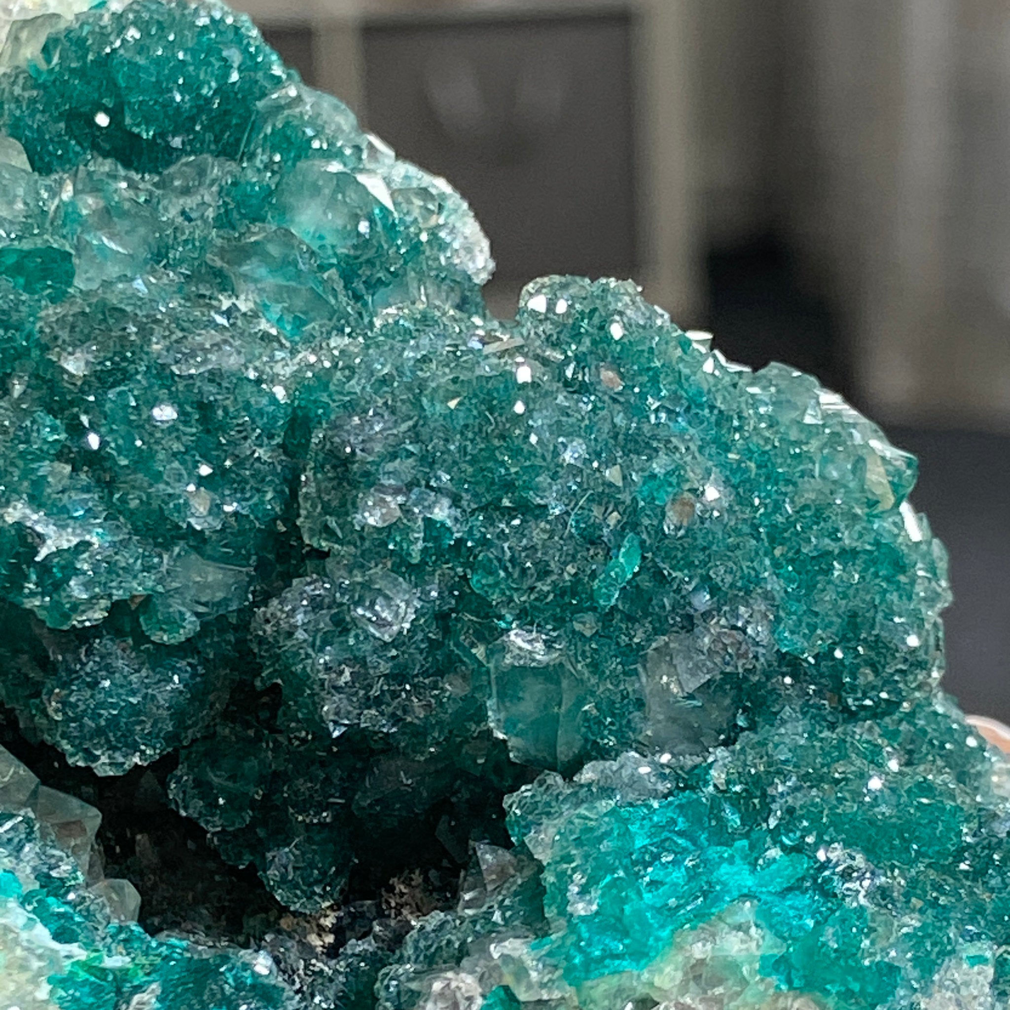 Private Collection - Dioptase with Clear Quartz