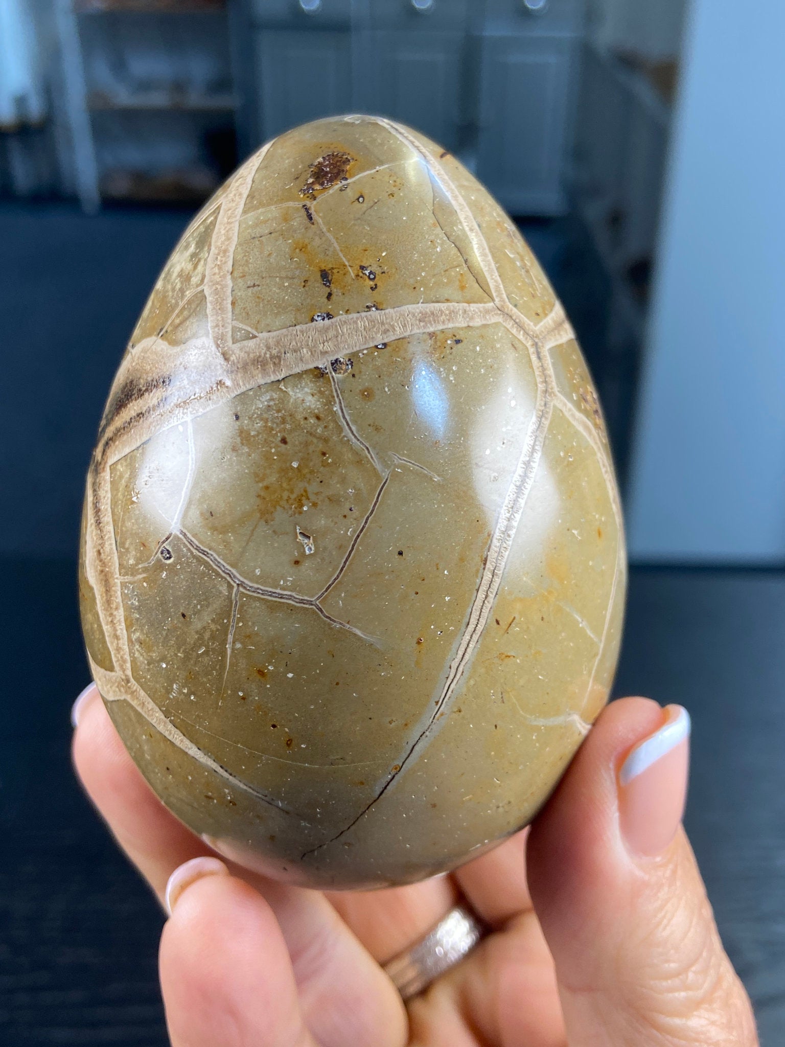 Septarian Egg Geode – The Dragon Stone of Ancient Power