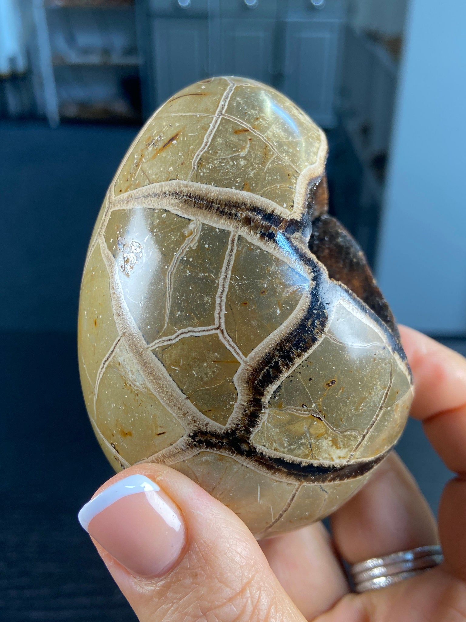 Septarian Egg Geode – The Dragon Stone of Ancient Power