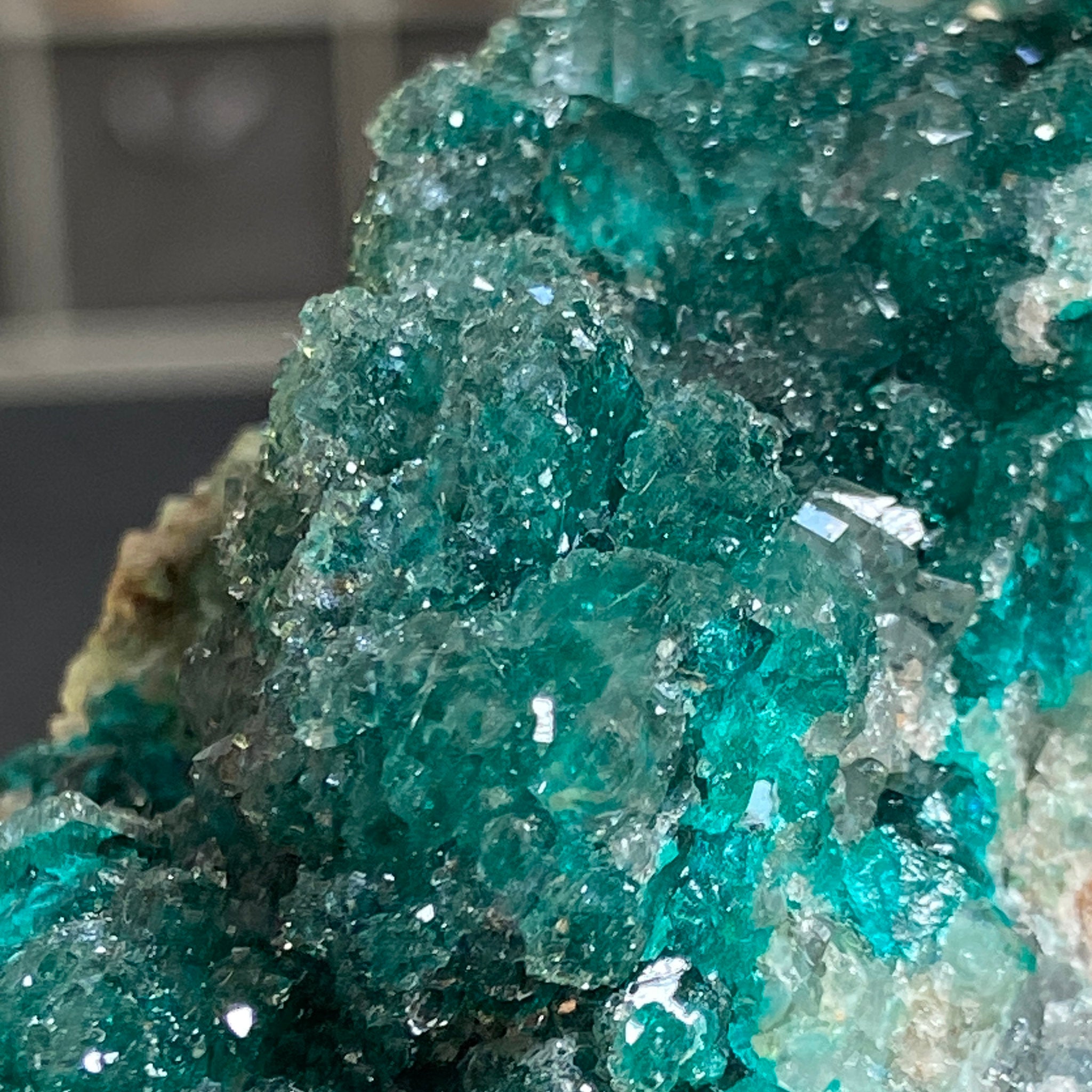 Private Collection - Dioptase with Clear Quartz
