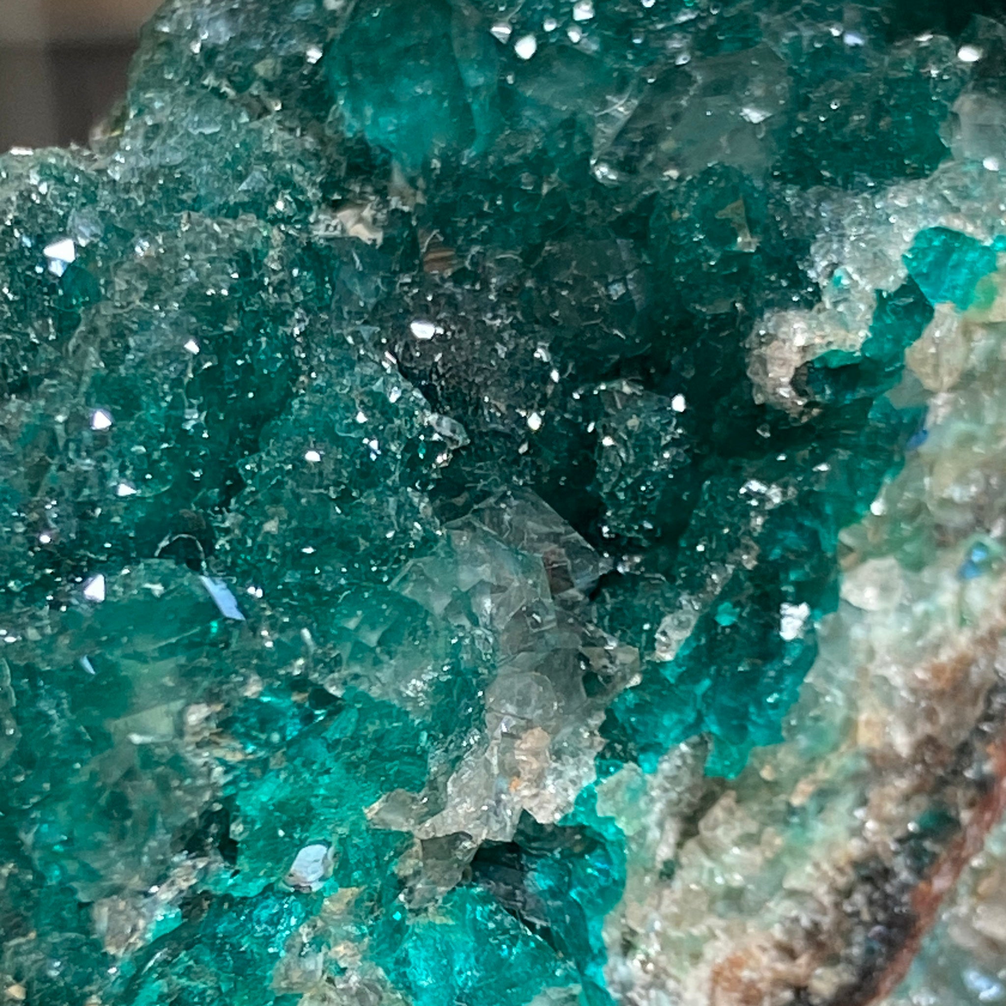 Private Collection - Dioptase with Clear Quartz