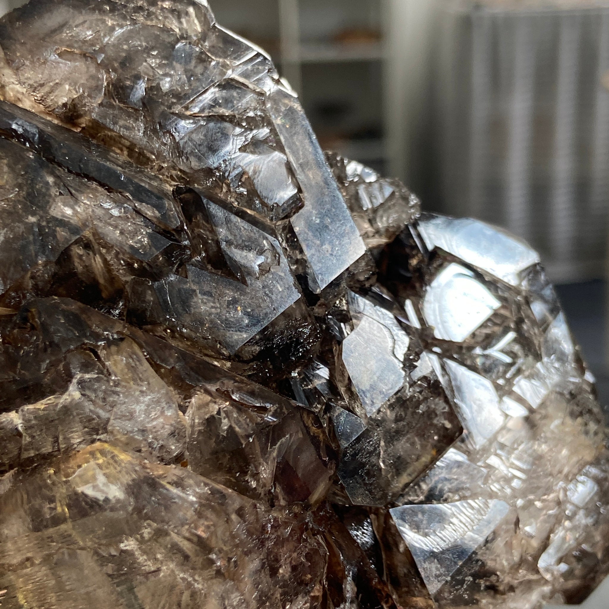 Private Collection - Smoky Elestial Quartz Cluster – Brazil