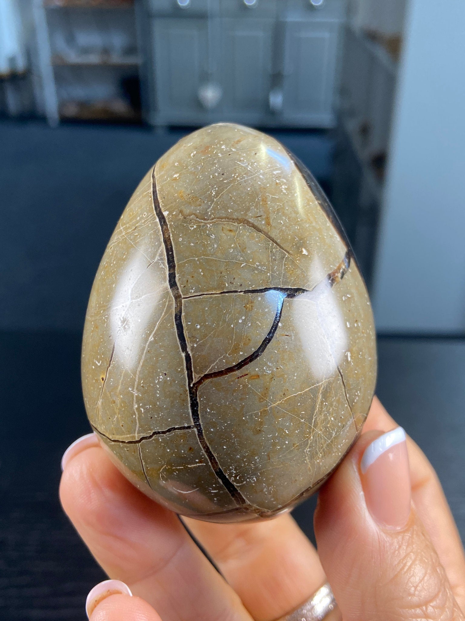 Septarian Druzy Egg – The Dragon Stone of Protection & Ancient Earth