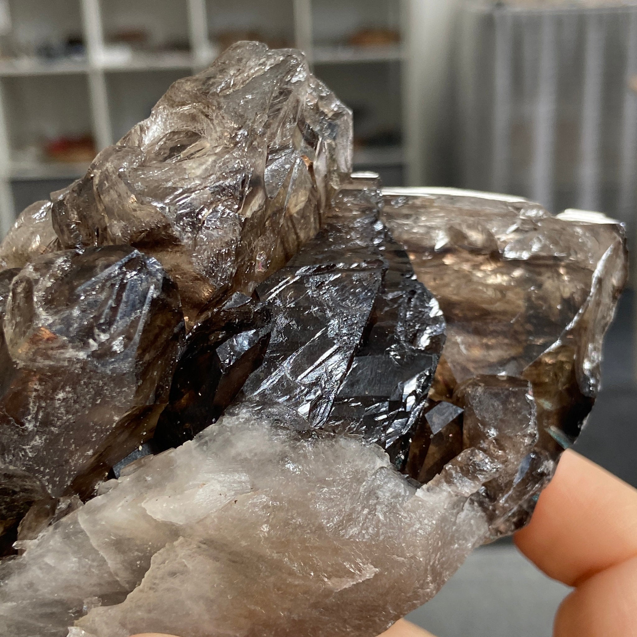 Private Collection - Smoky Elestial Quartz Cluster – Brazil