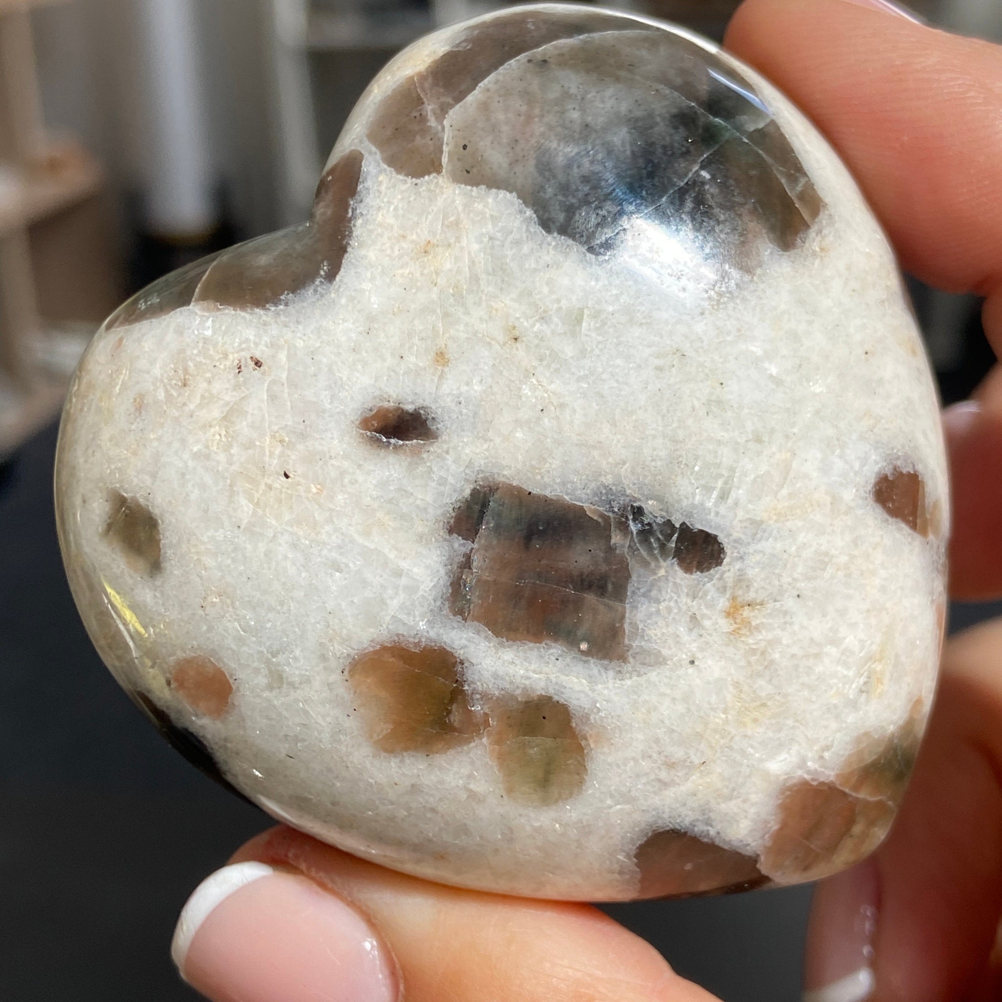 Polarity Moonstone Heart – India
