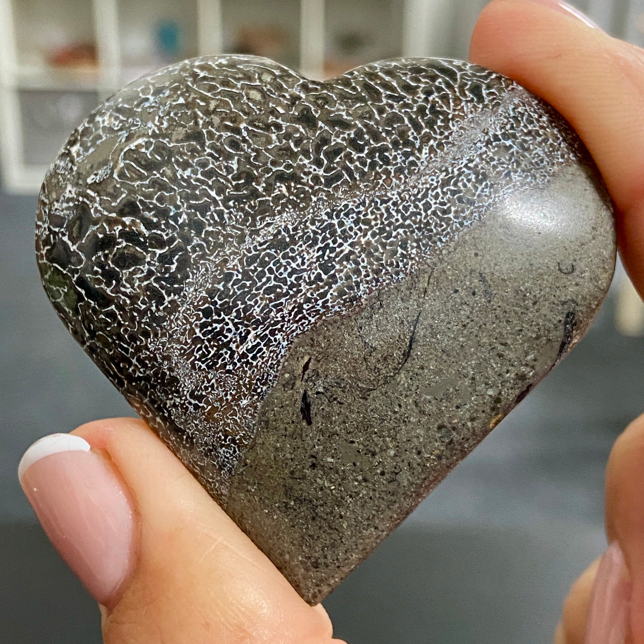 Dinosaur Bone Heart – Morocco